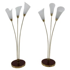 1940s Pair of Art Deco Floor Lamps, Czechoslovakia