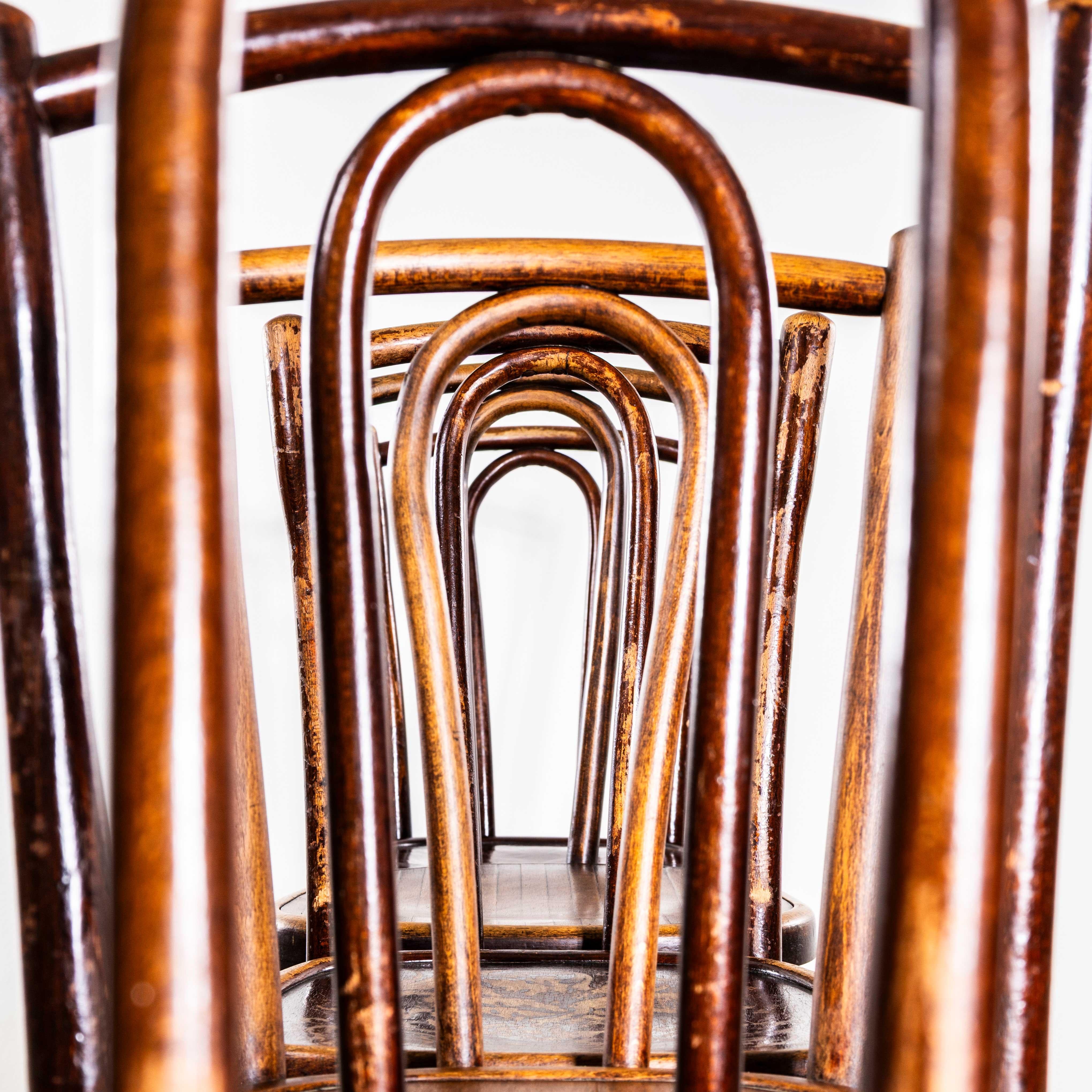 1940's Rich Dark Fischel Bentwood Dining Chairs - Set von sechs (Mitte des 20. Jahrhunderts) im Angebot