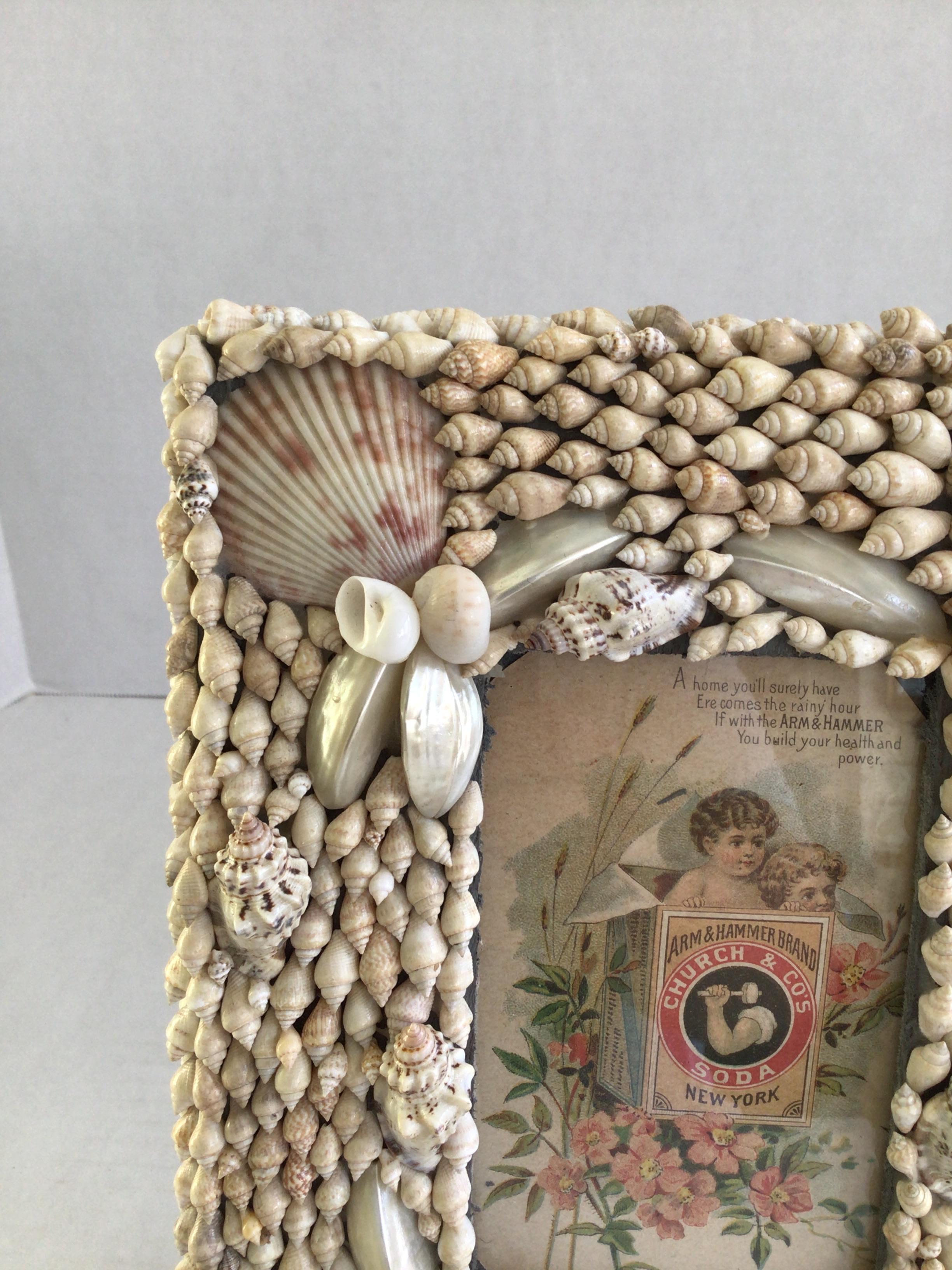 1940s Shell Picture Frame (with glass) For Sale 1