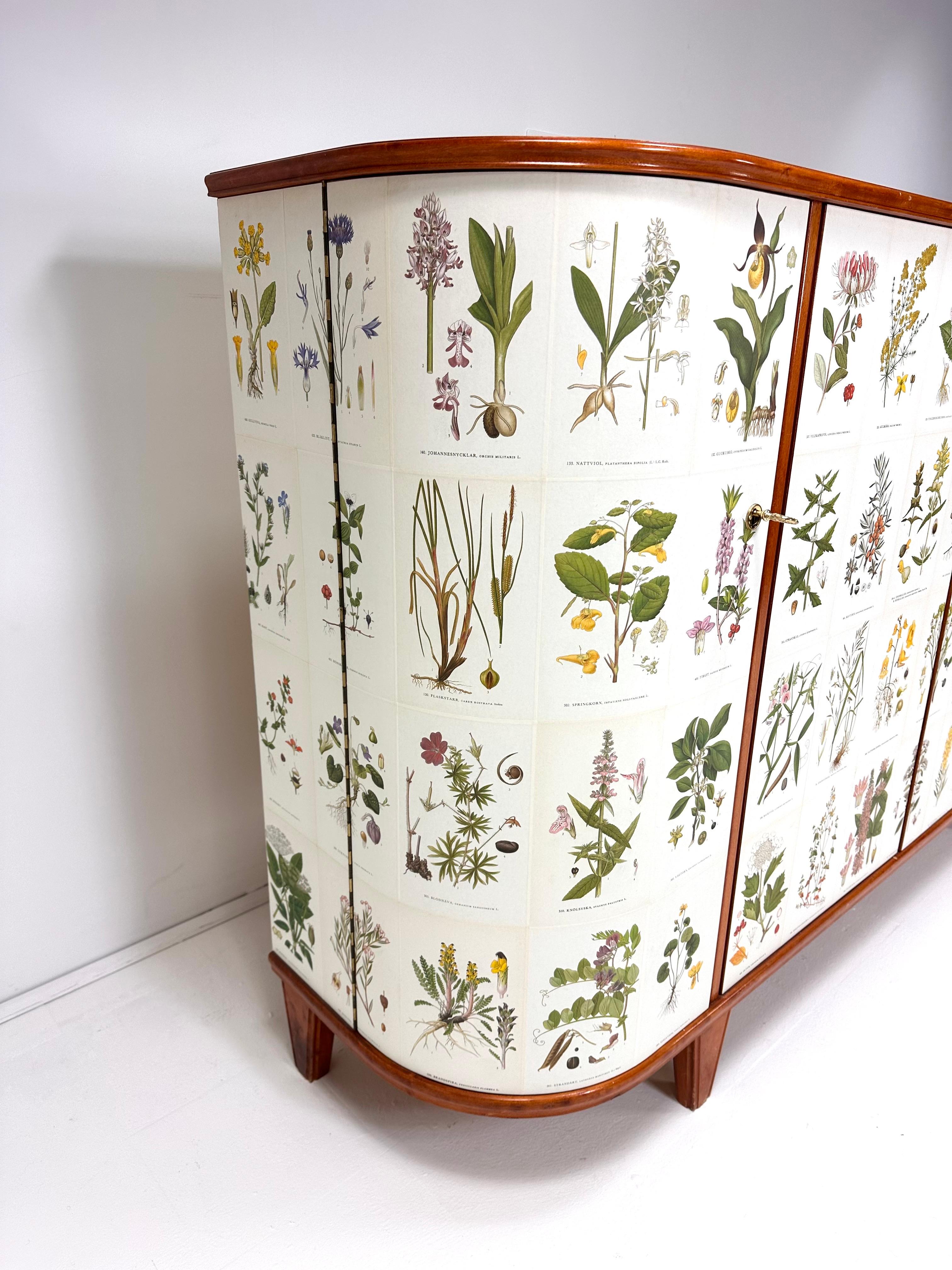1940's Swedish Cabinet with Nordens Flora Illustrations in vendita 2