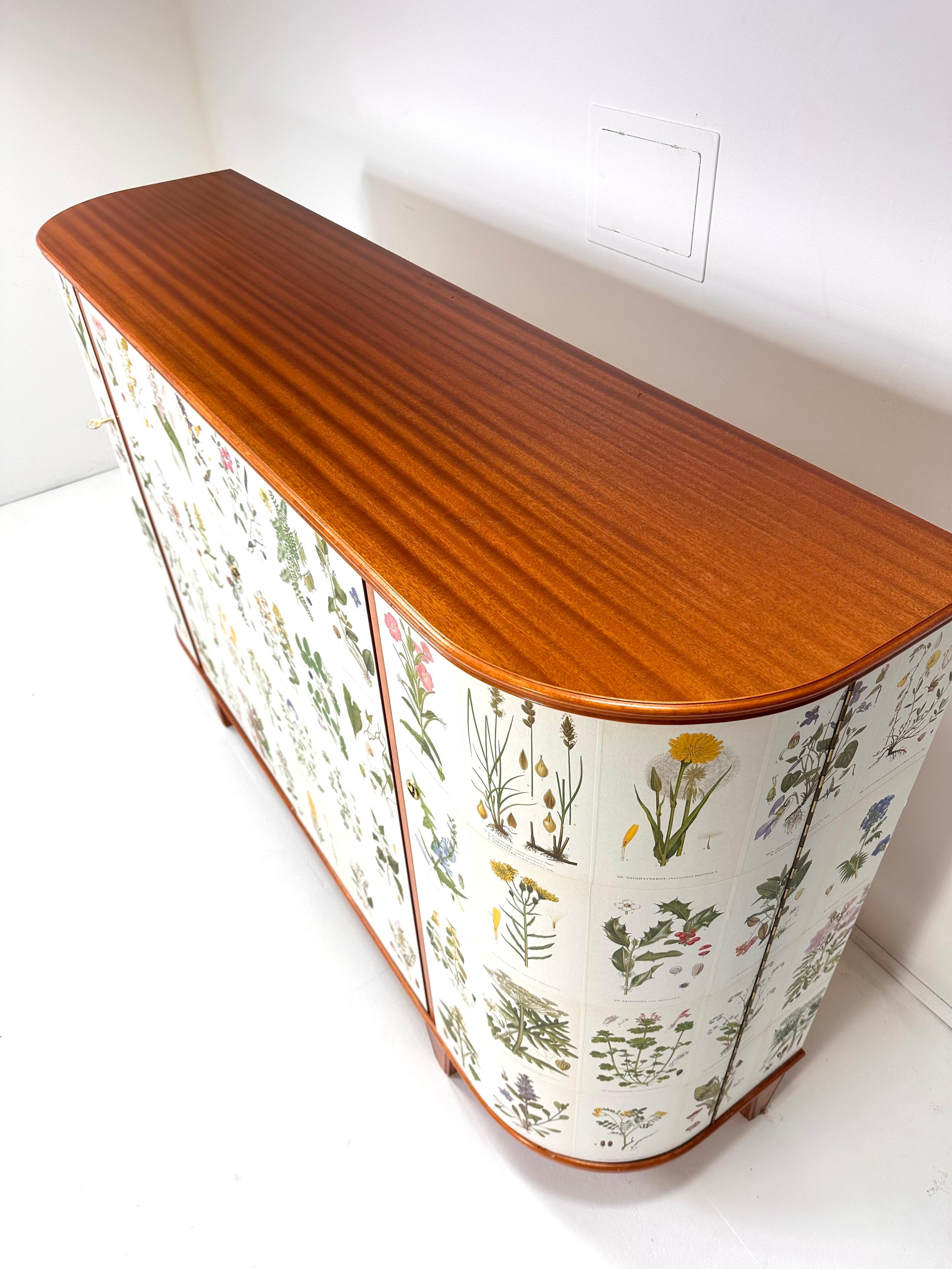 1940's Swedish Cabinet with Nordens Flora Illustrations in vendita 3