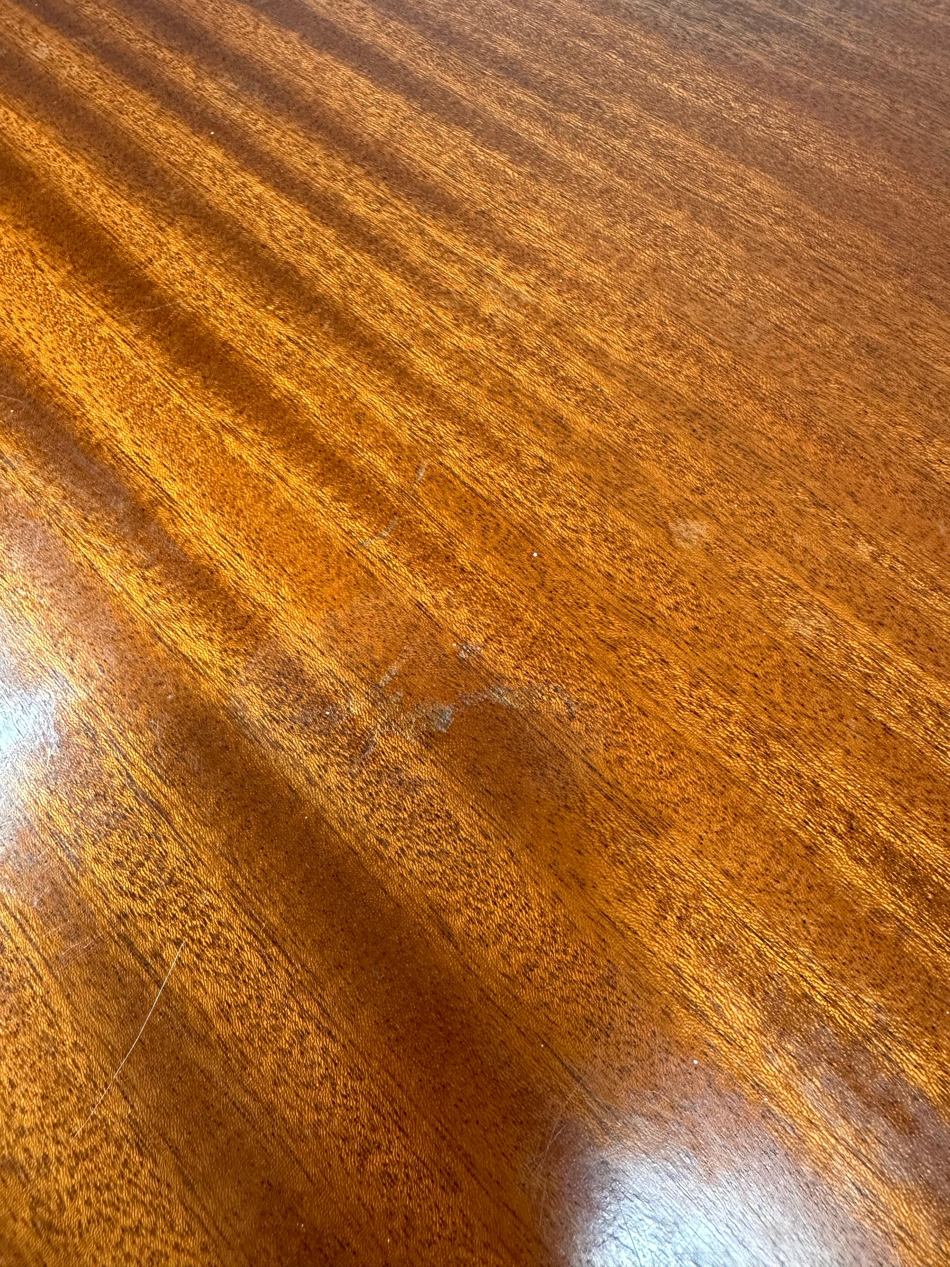 1940's Swedish Cabinet with Nordens Flora Illustrations in vendita 5