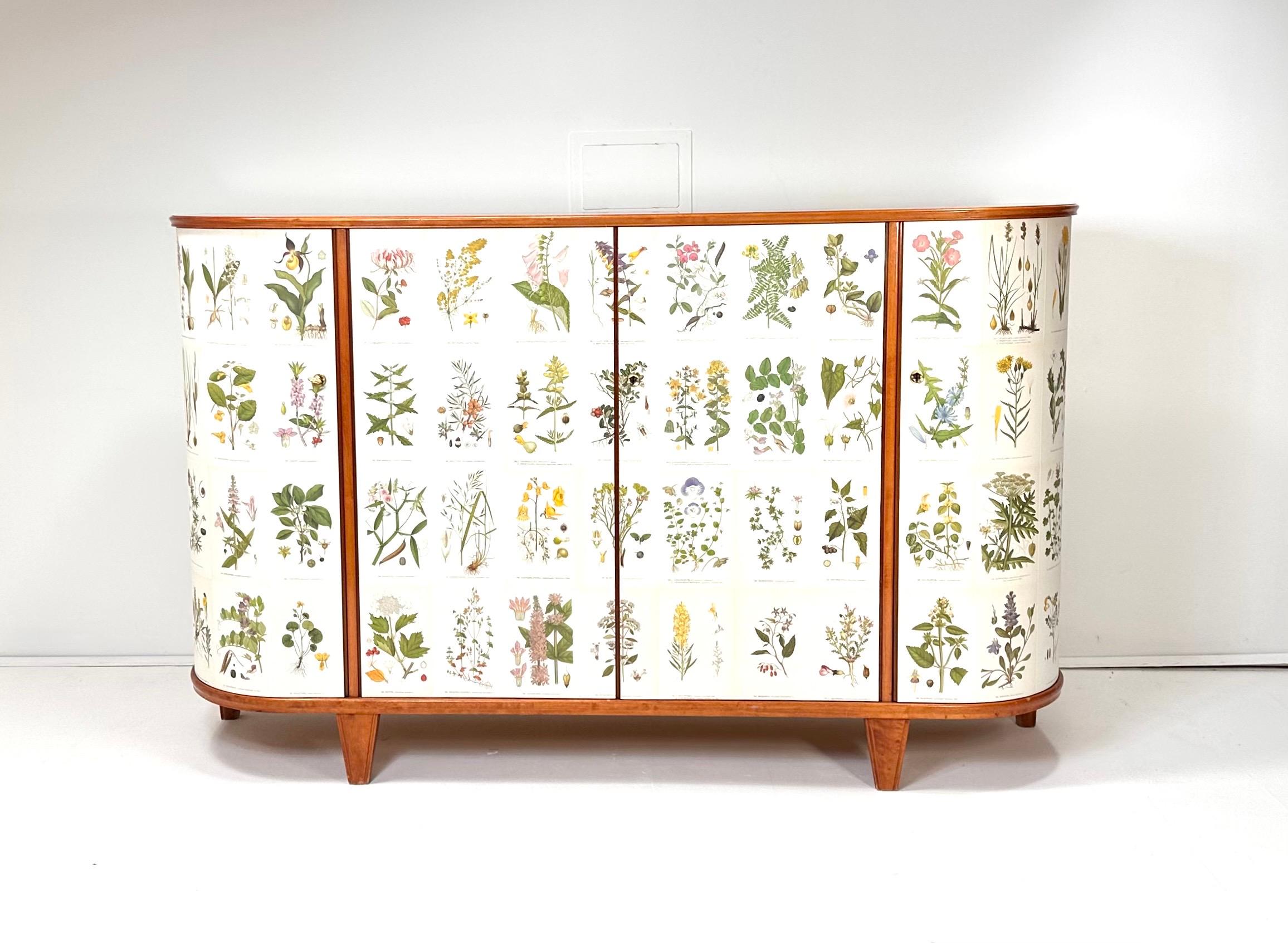 1940's Swedish Cabinet with Nordens Flora Illustrations in vendita 6