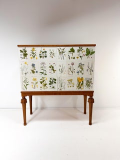 1940’s Swedish Cabinet With Nordens Flora Illustrations