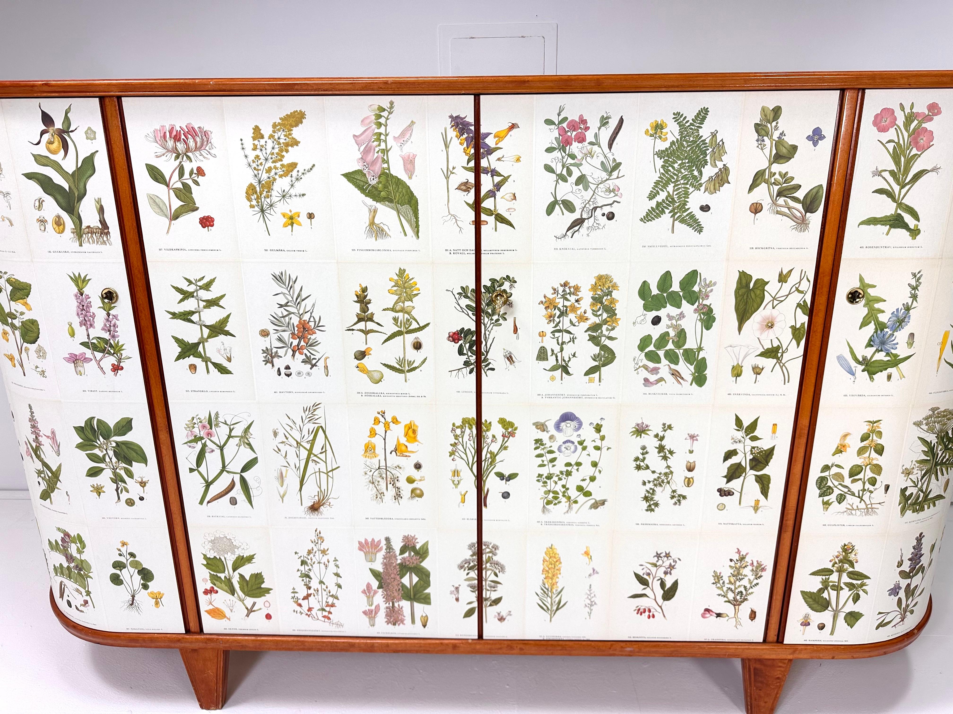 Scandinavo moderno 1940's Swedish Cabinet with Nordens Flora Illustrations in vendita