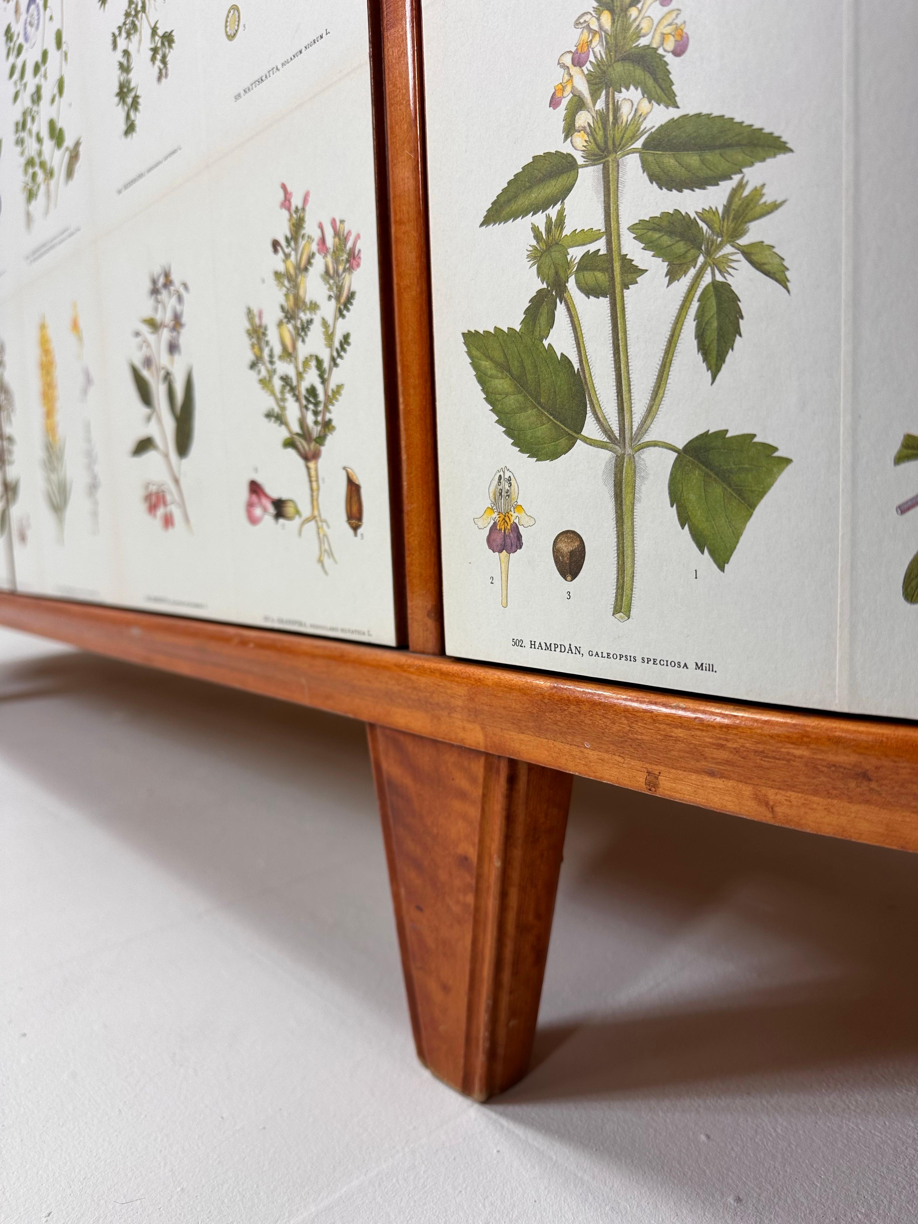 Appliqué 1940's Swedish Cabinet with Nordens Flora Illustrations in vendita