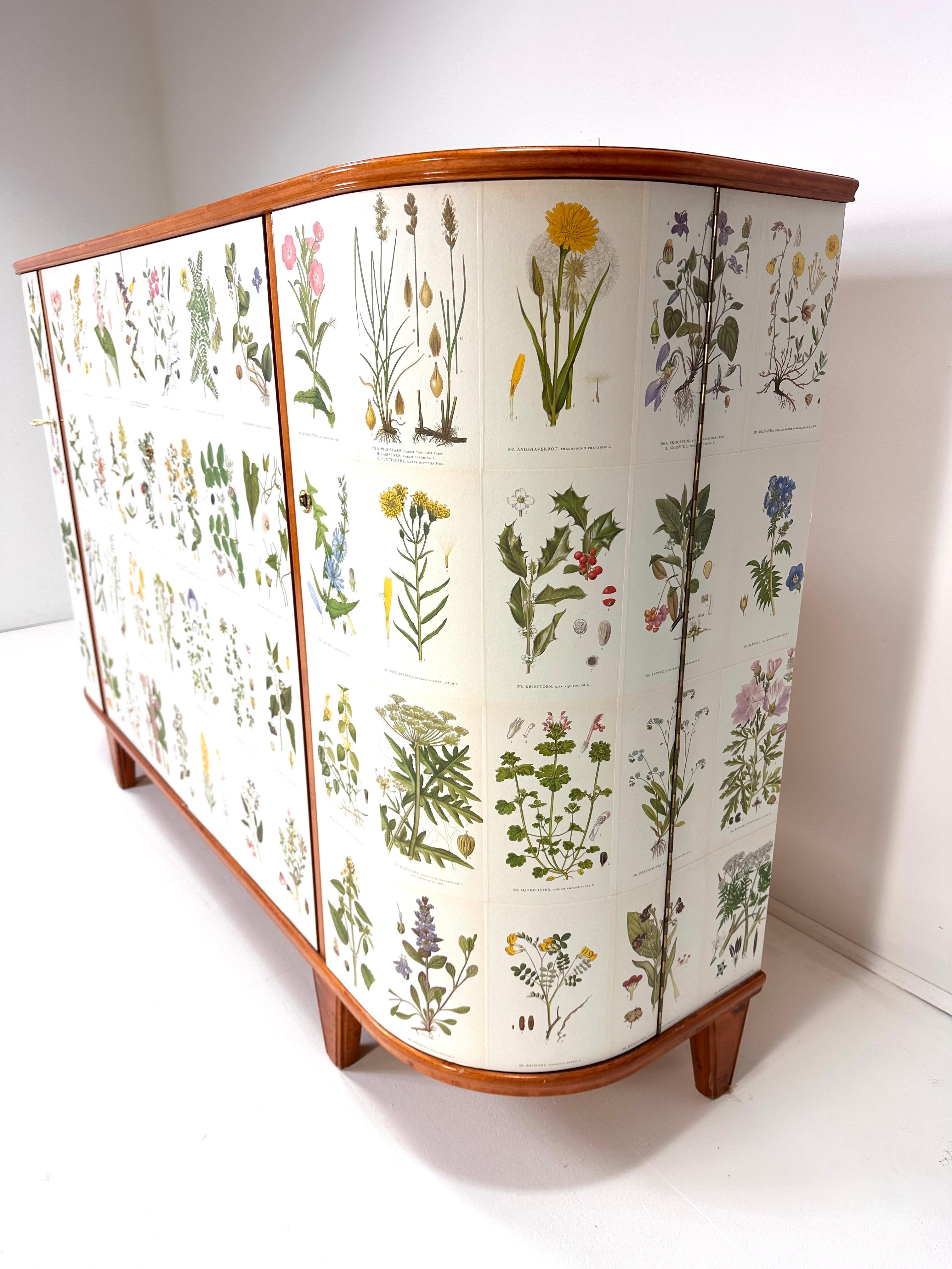 Metà XX secolo 1940's Swedish Cabinet with Nordens Flora Illustrations in vendita