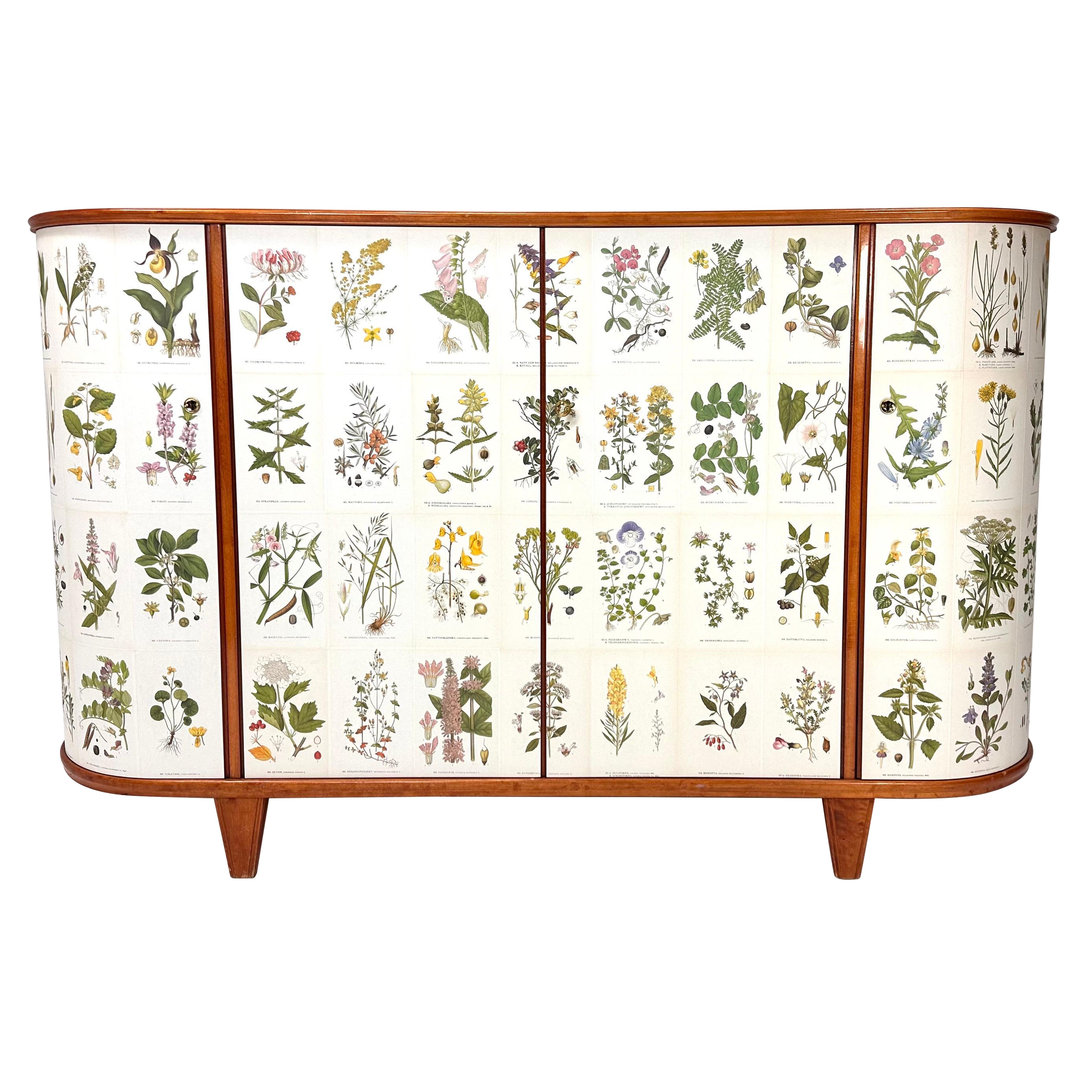 1940
s Swedish Cabinet with Nordens Flora Illustrations