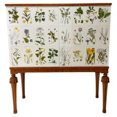 1940’s Swedish Cabinet With Nordens Flora Illustrations
