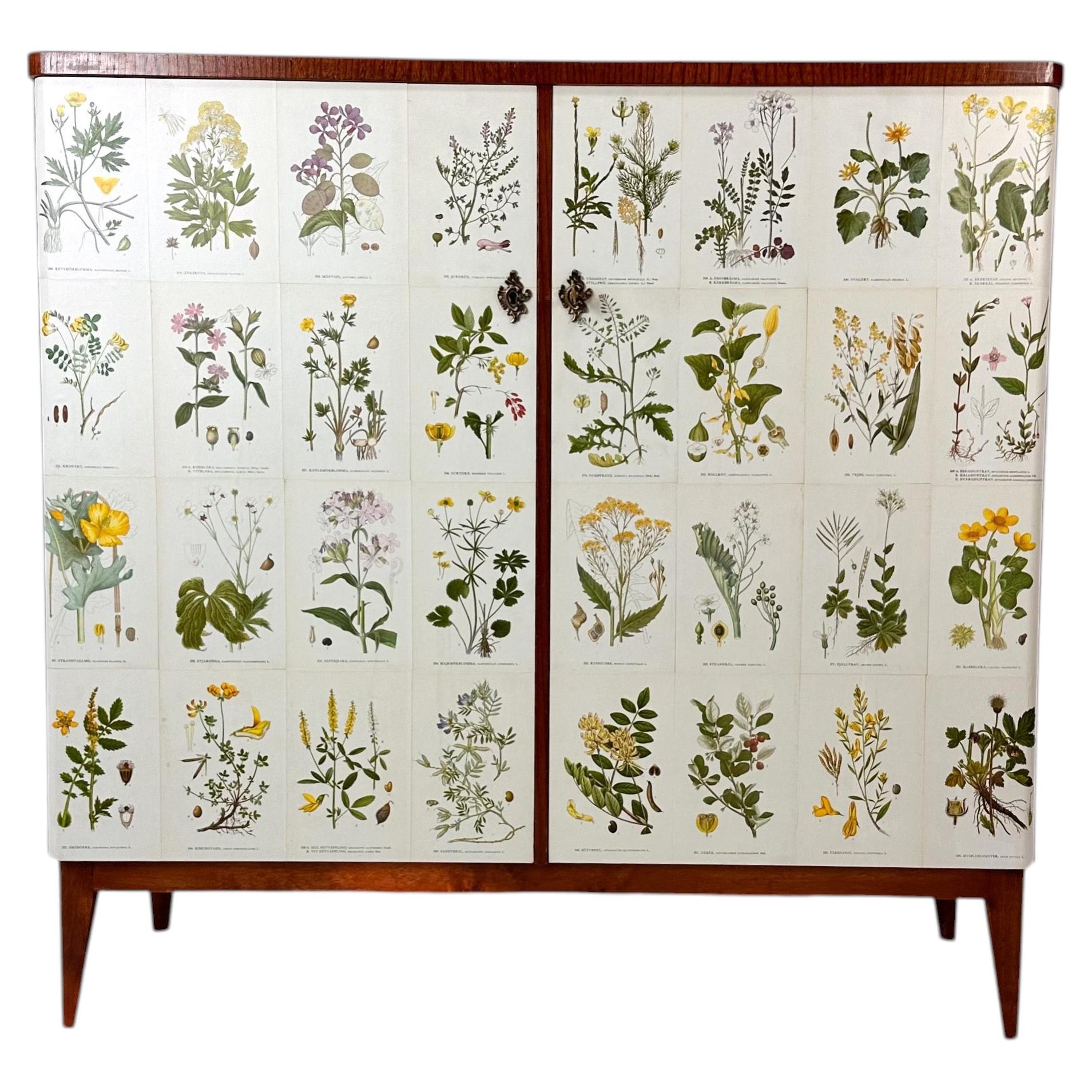 1940’s Swedish Cabinet With Nordens Flora Illustrations