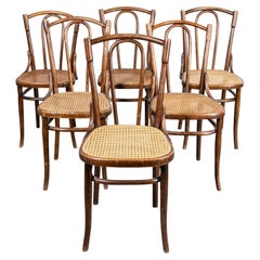1940's Thonet Original Single Hoop Bentwood Chairs - Set Of Six