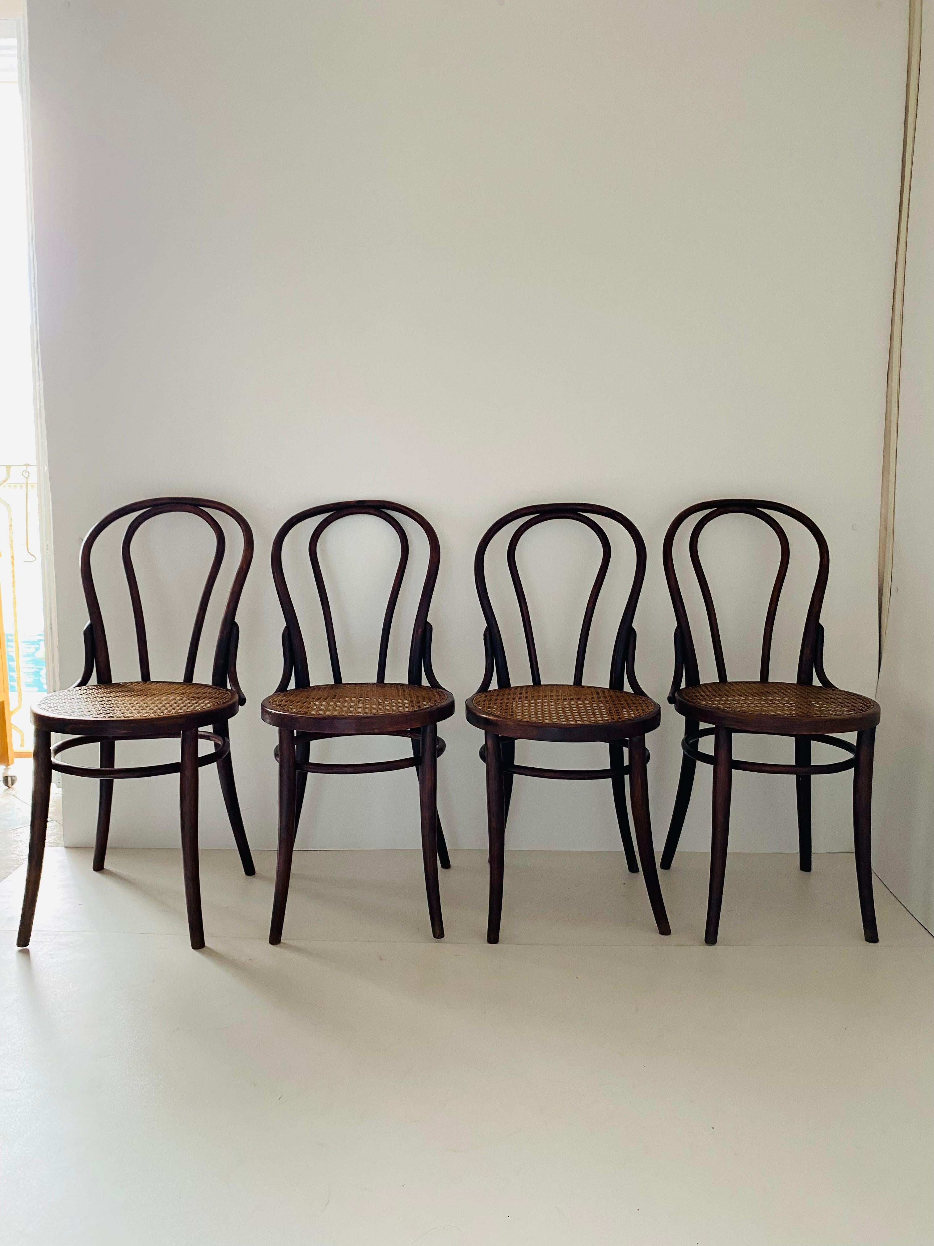 Thonet Style Dining Chairs 