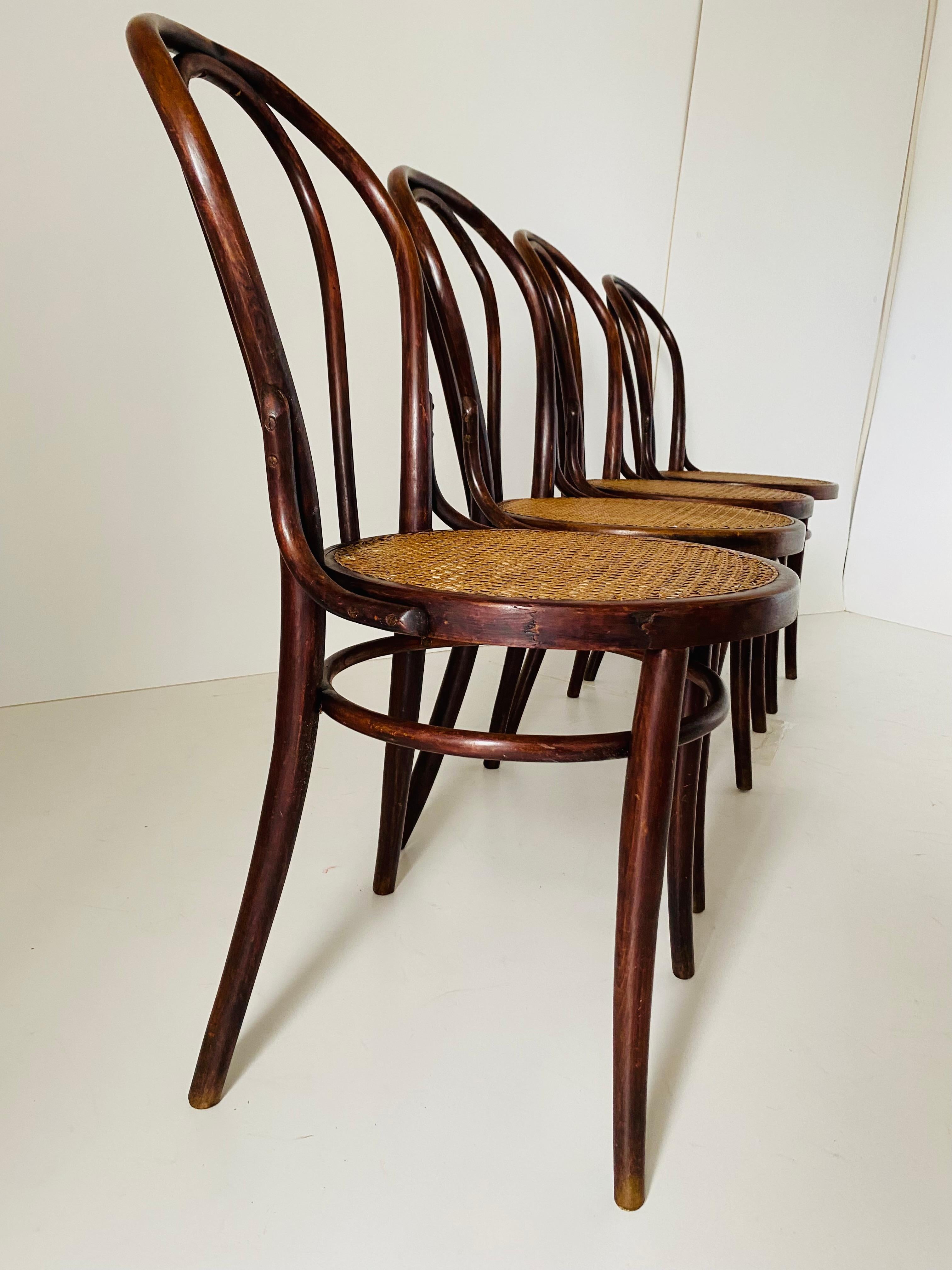 Mid-20th Century Thonet Style Dining Chairs 