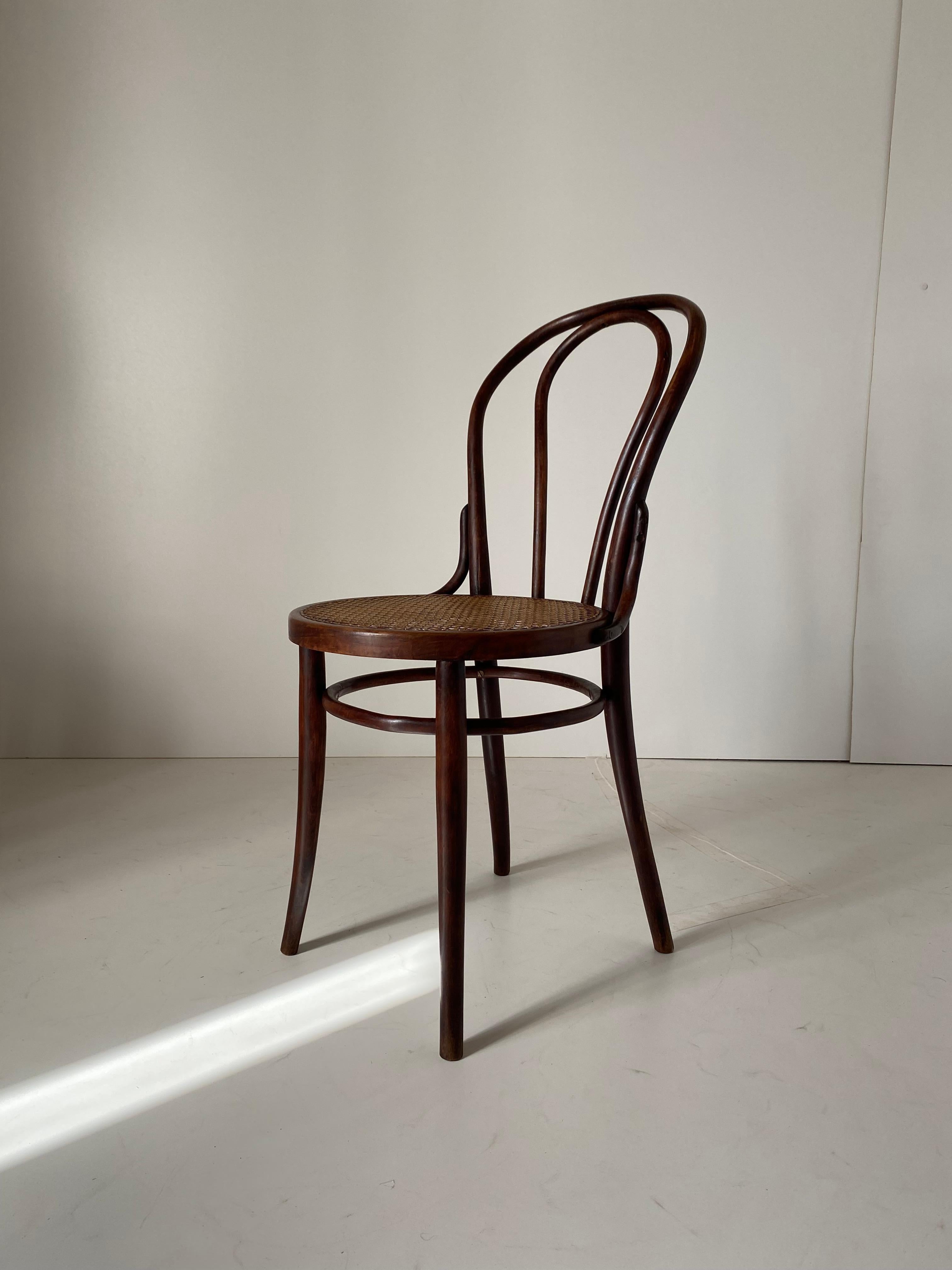 Thonet Style Dining Chairs 