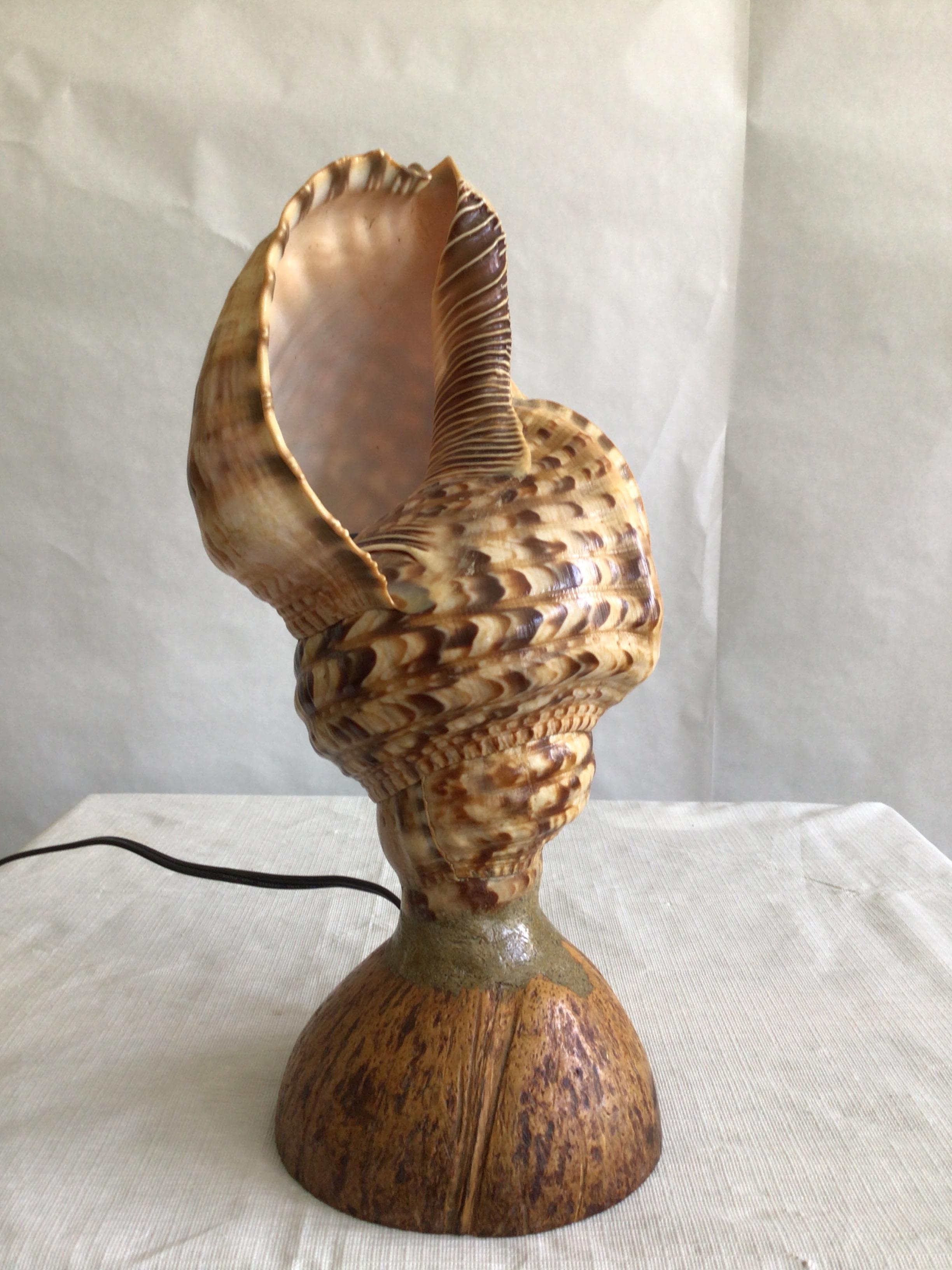 Haitian 1940s Triton Conch Shell Lamp On Coconut Base For Sale
