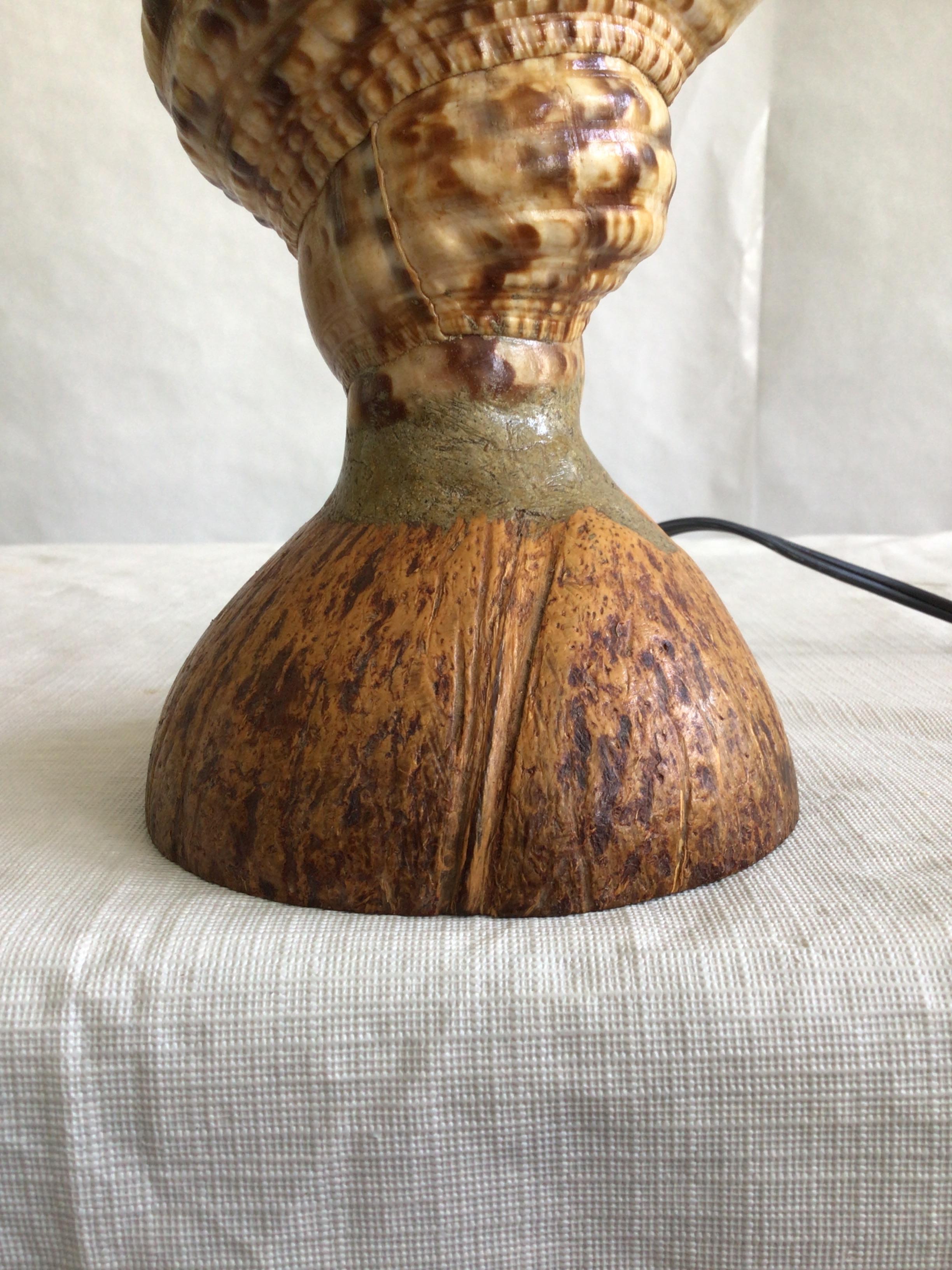 1940s Triton Conch Shell Lamp On Coconut Base For Sale 2