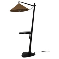 1940s Vaclav Rada Floor Lamp, Czechoslovakia
