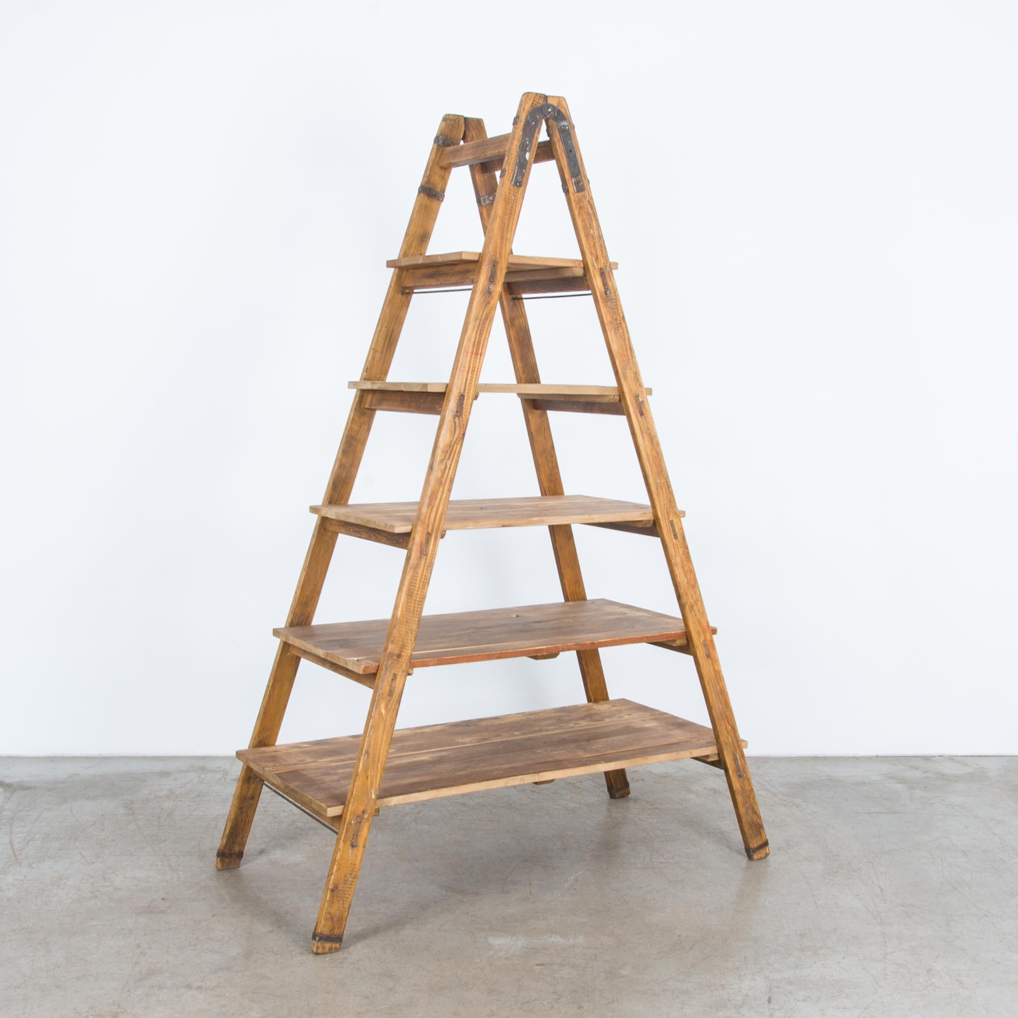 old wooden ladder shelf