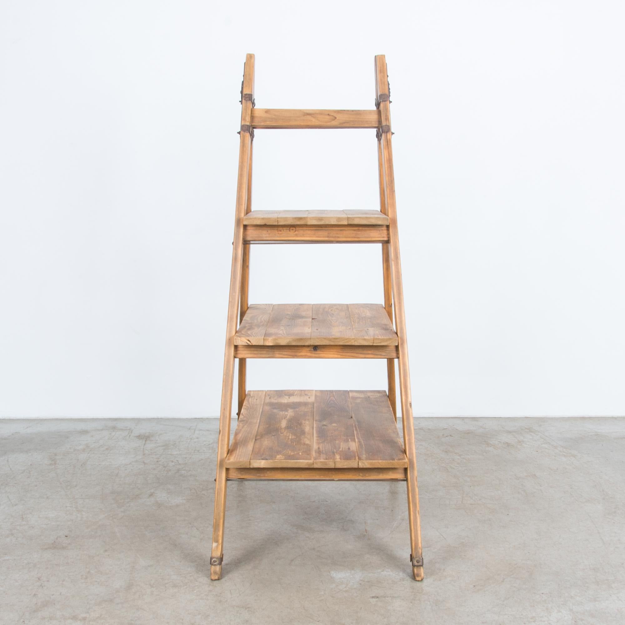 natural wood ladder shelf