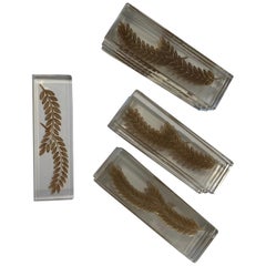 1942 Rene Lalique Hortense Set of 10 Knife Rests Clear Glass Sepia Stain Leaves