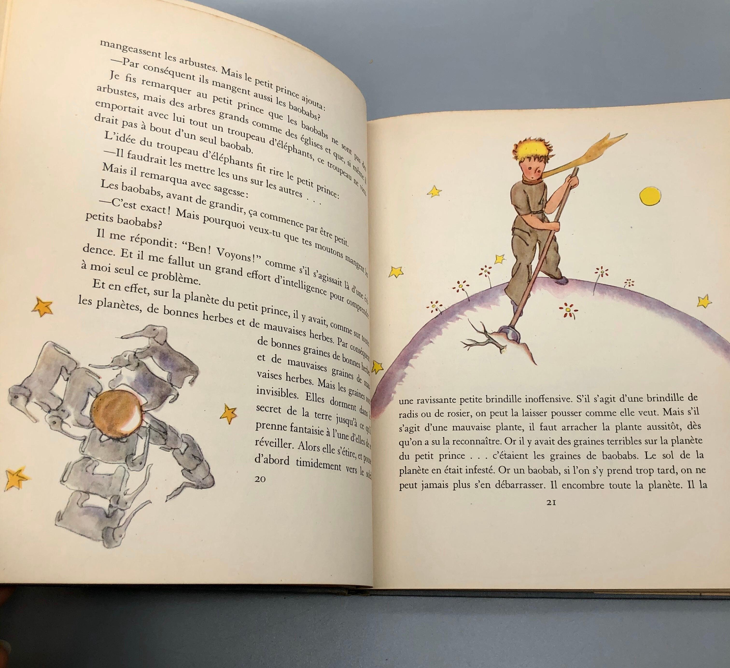 le petit prince french edition