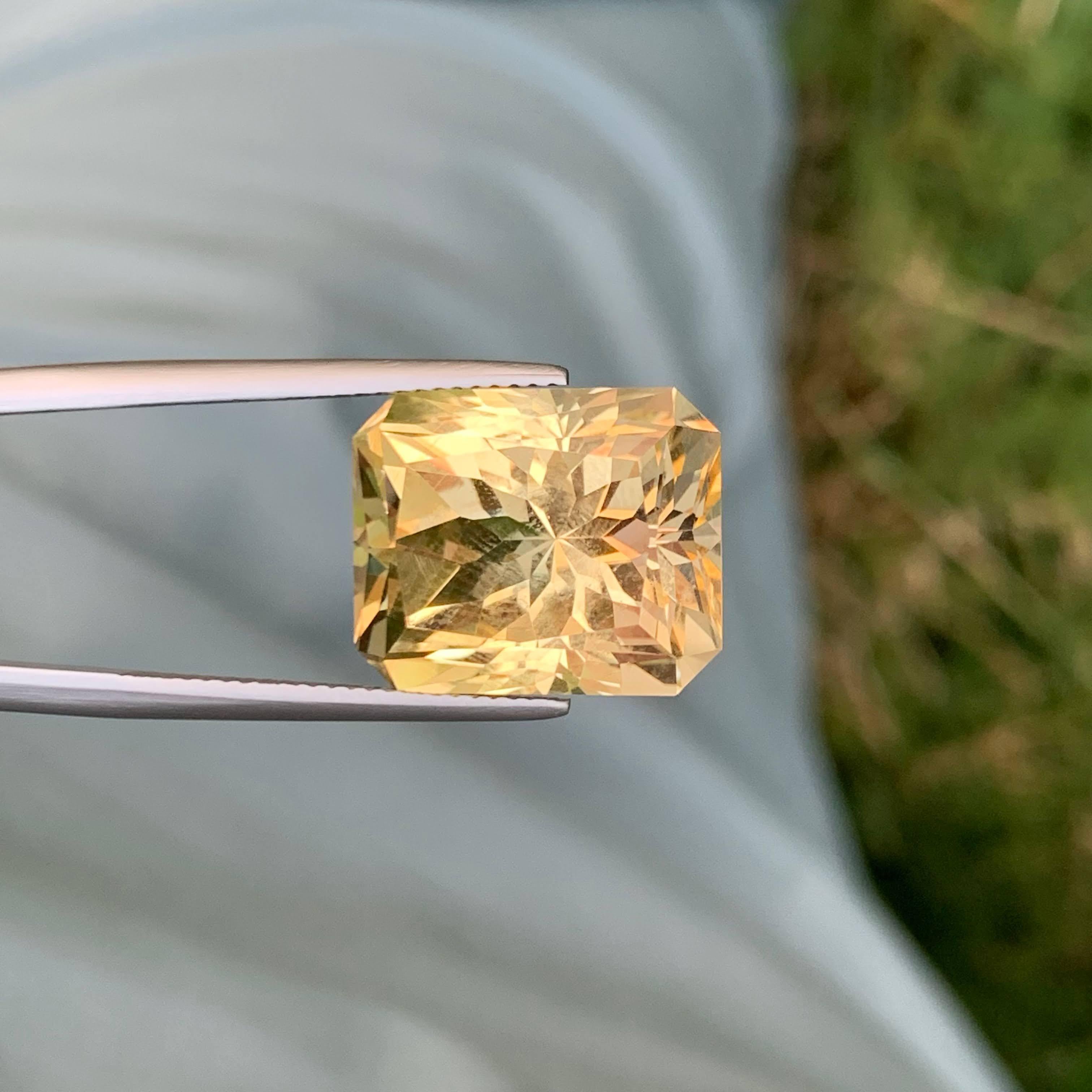 19,45 Karat Loser mattierter goldener Citrin Stein Custom Cut Natürlicher Brasilianischer Edelstein im Angebot 1