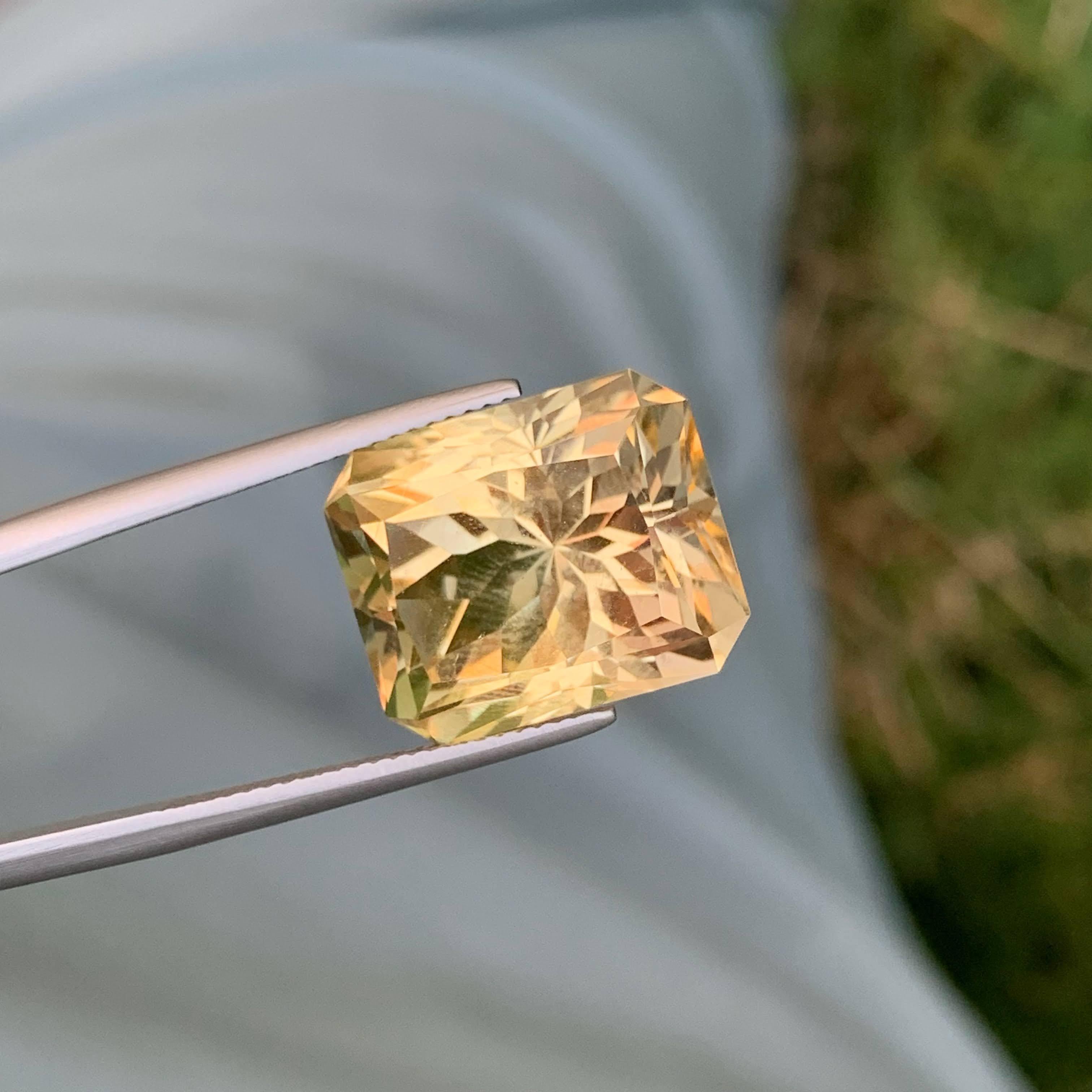 19,45 Karat Loser mattierter goldener Citrin Stein Custom Cut Natürlicher Brasilianischer Edelstein im Angebot 2