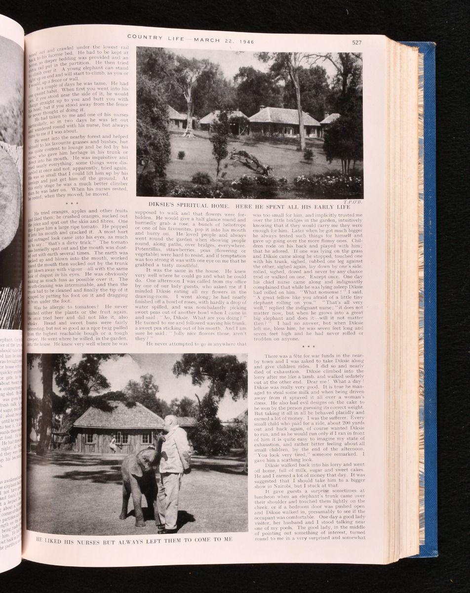 1946-1954 Country Life For Sale 2