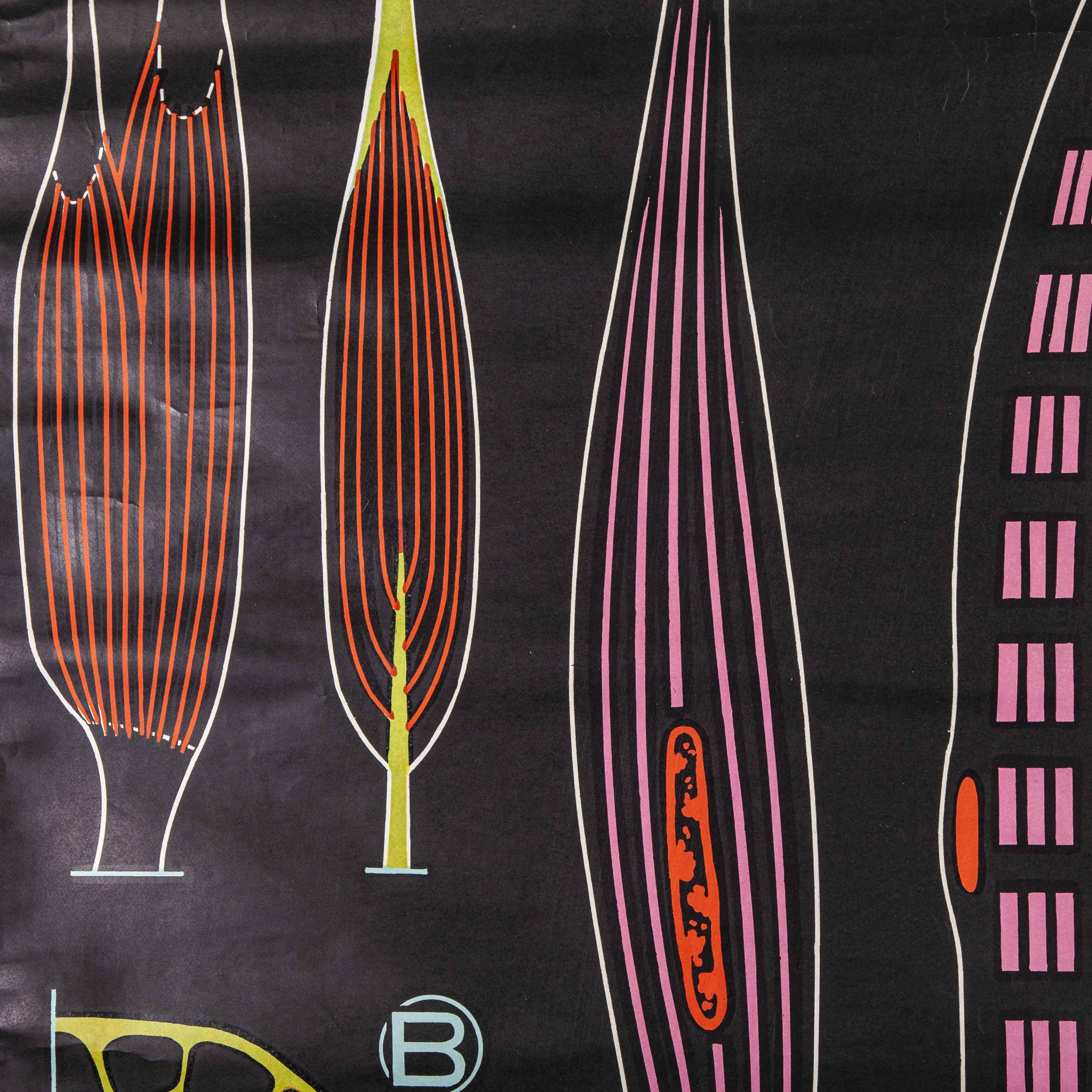 1947 Dr Auzoux French Educational Chart – P.Sougy – Tissu Musculaire (Muscular Tissue) – S28. 

In the 1940’s Paul Sougy, a gifted illustrator and curator of natural history at the Orleans Science Museum, south west of Paris, was commissioned by the