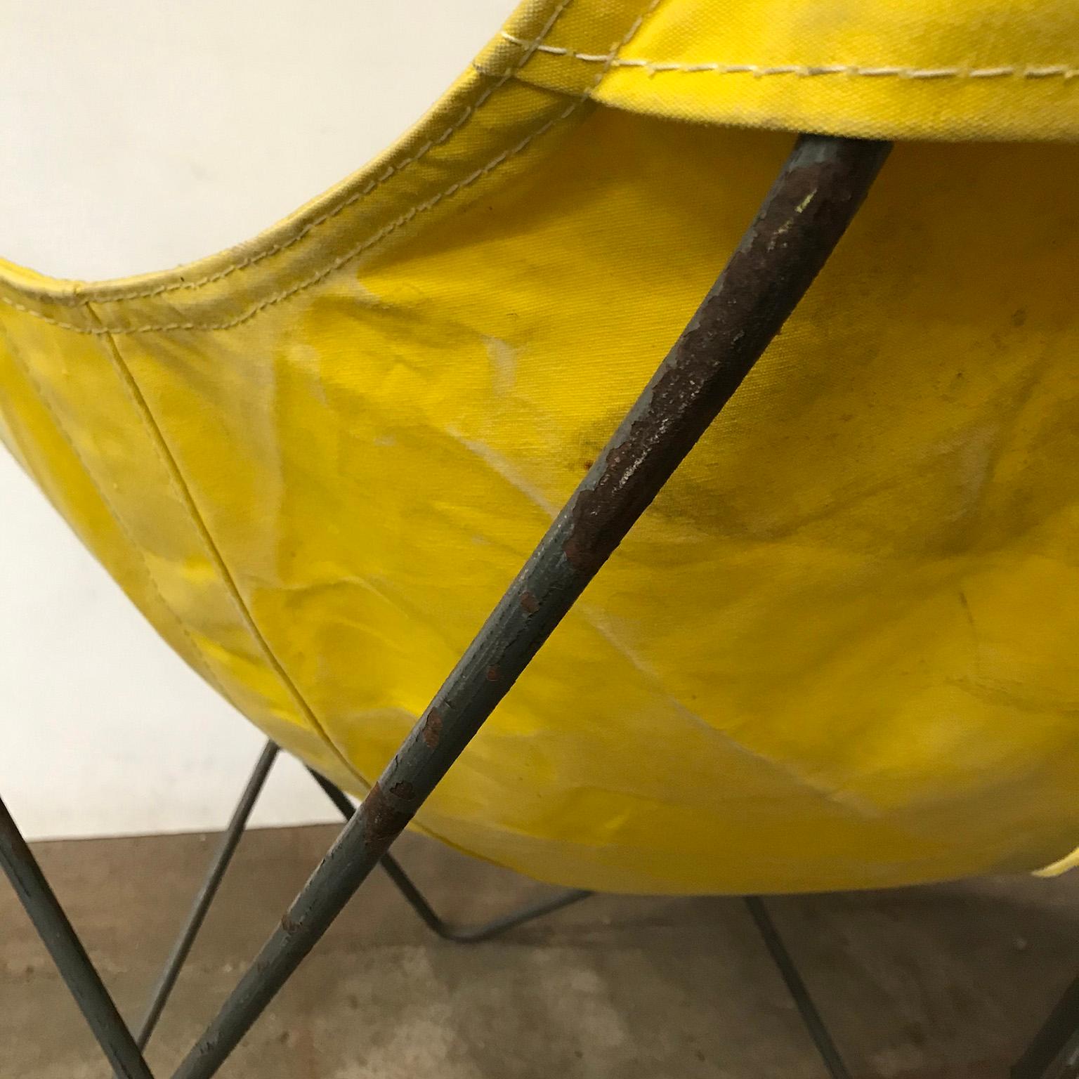 1947, Hardoy, Ferrari, Yellow Cover with Black Base Butterfly Chair 7