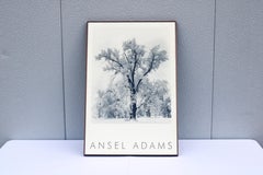 1948 Ansel Adams Árbol de roble Tormenta de nieve, Parque Nacional de Yosemite Fotografía Impresión artística