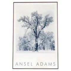 1948 Ansel Adams Árbol de roble Tormenta de nieve, Parque Nacional de Yosemite Fotografía Impresión artística