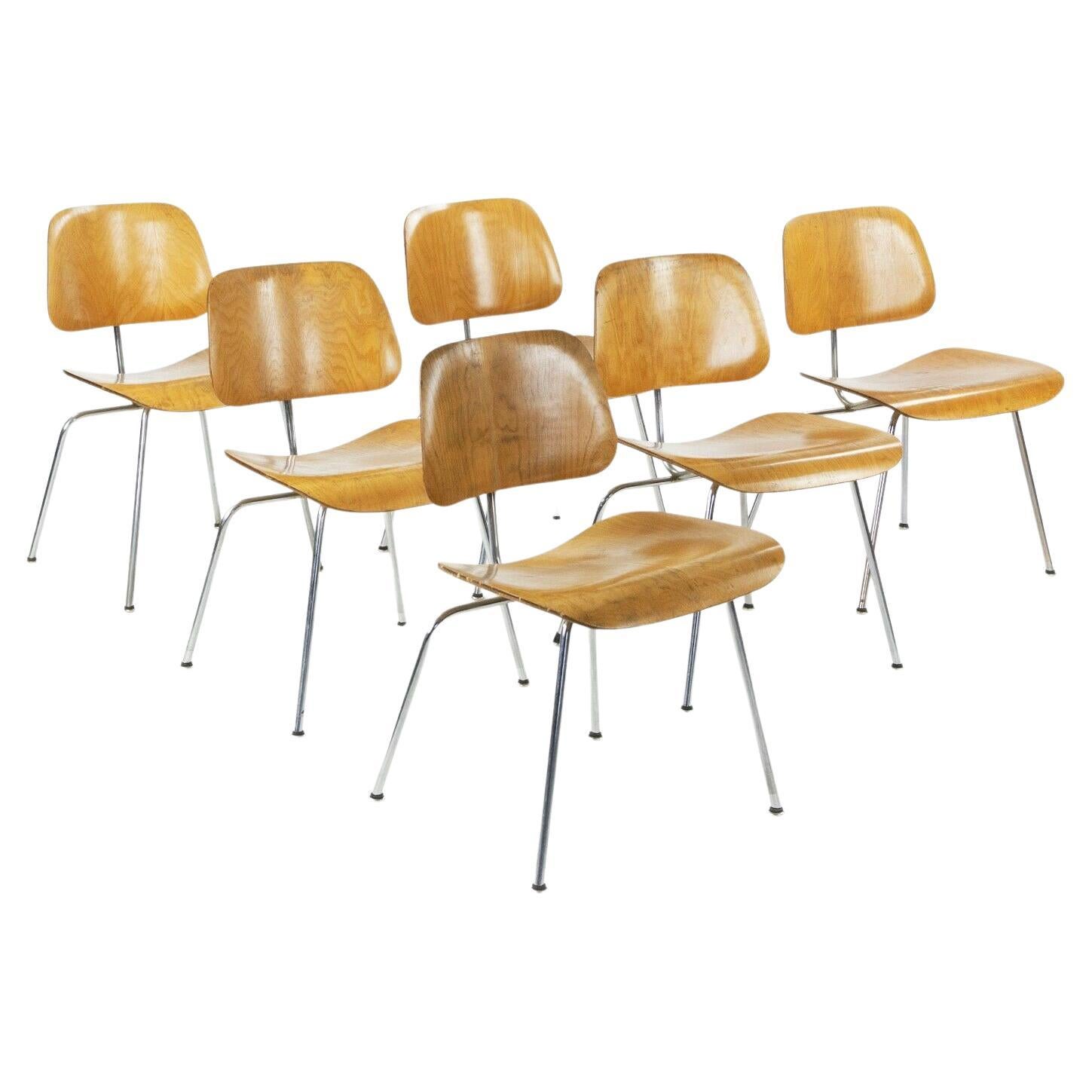 1948 Eames for Evans & Herman Miller Set of Six DCM Dining Chairs w/ Provenance For Sale