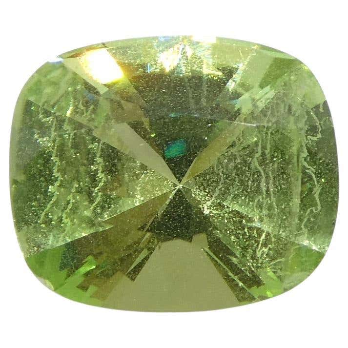 Tsaborite 3.02 carats Apple Green Tsavorite Garnet Stone Cushion Cut Tanzanian ...