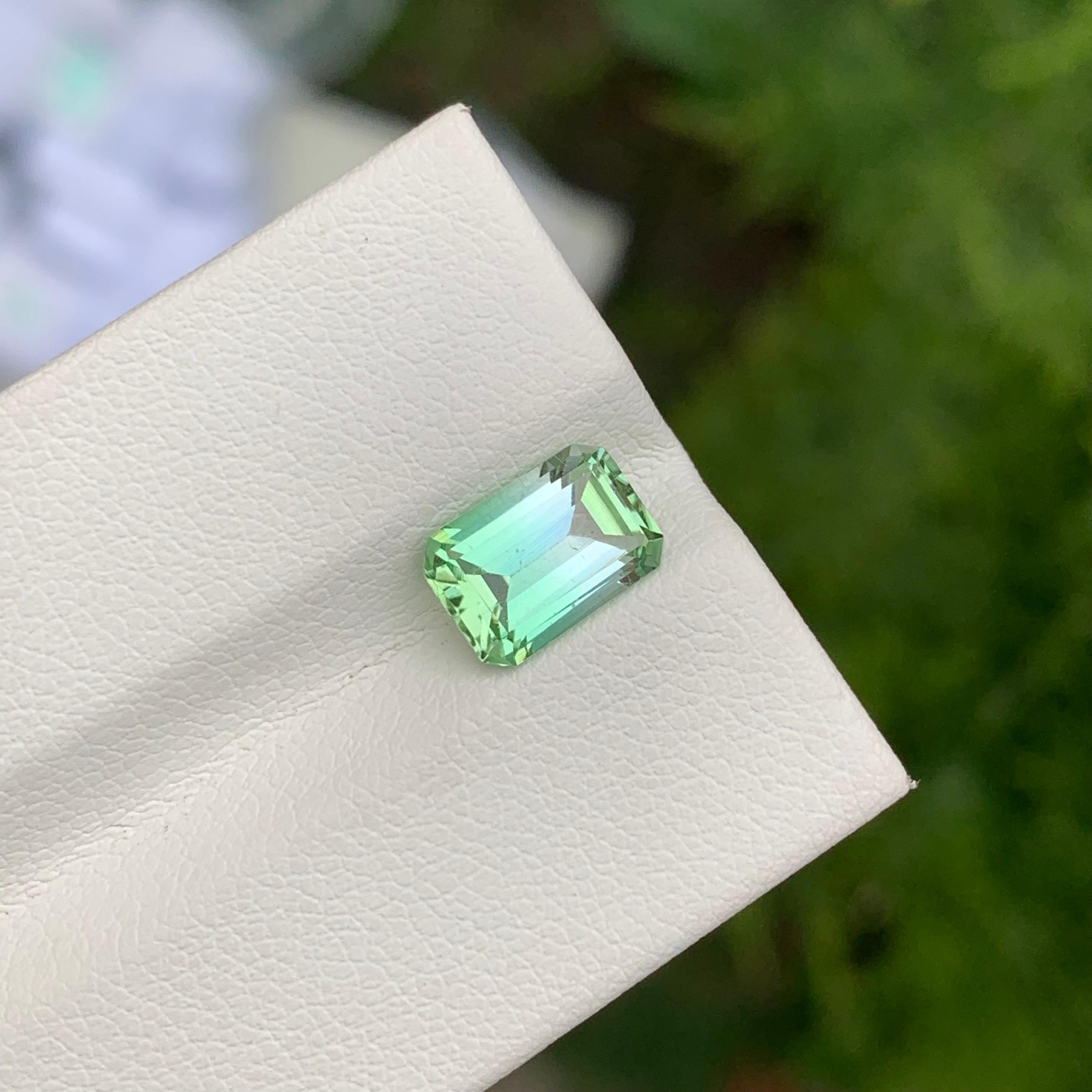 Loose  Bicolour Tourmaline

Weight: 1.95 Carats
Dimension: 9.1 x 6.4 x 4.2 Mm 
Colour: Mint Green And White 
Origin: Afghanistan
Certificate: On Demand
Treatment: Non
Shape: Emerald 


Tourmaline is a captivating gemstone known for its remarkable