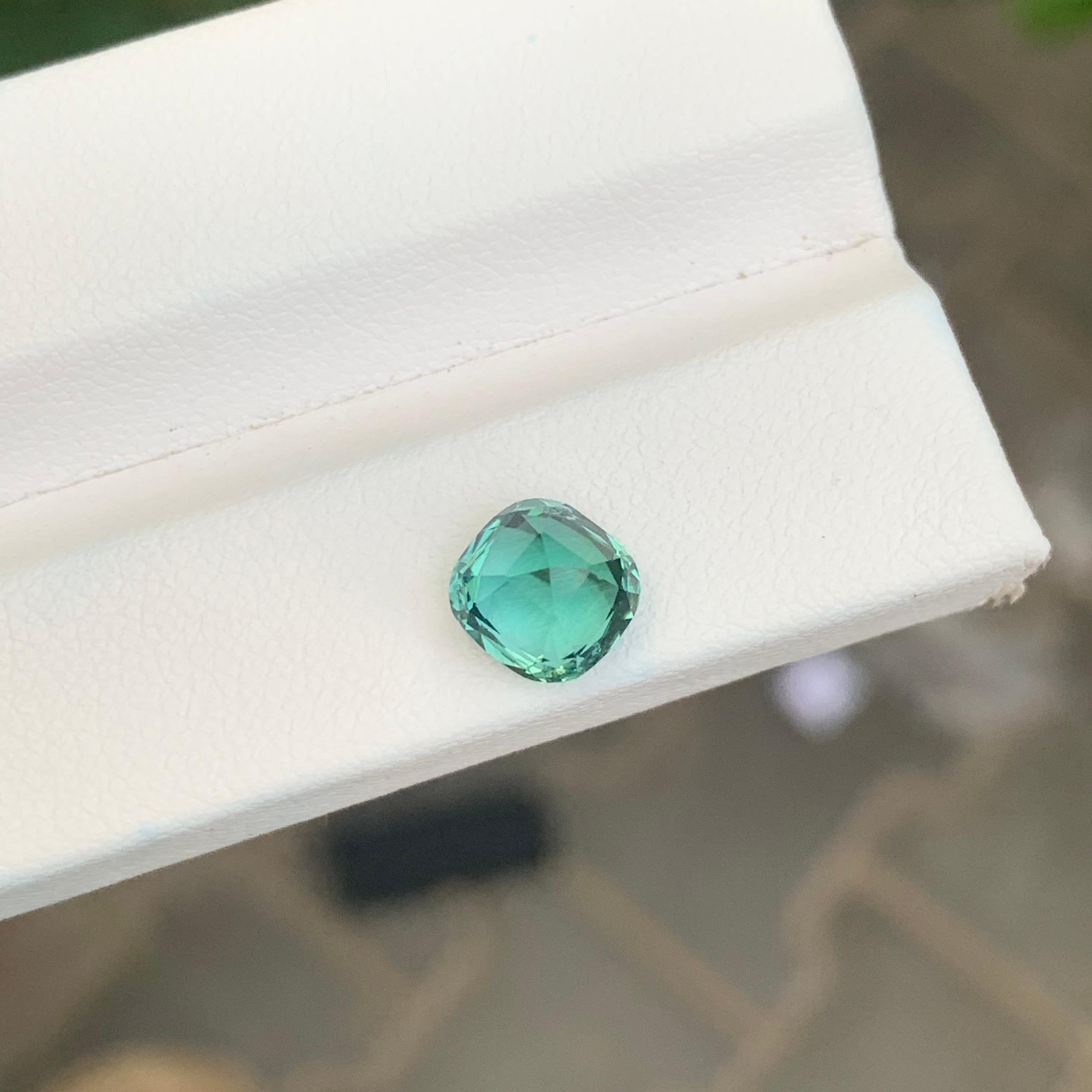 Tormalina verde blu sfaccettata

Peso: 1,95 Carati
Dimensioni: 7,3 x 7 x 5,4 mm
Colore: Blu & Greene 
Origine: Afghanistan
Trattamento: Non
Forma: Cuscino 
Certificato: Su richiesta del cliente


La tormalina è una gemma affascinante nota per la sua