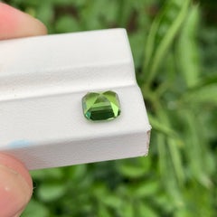 1.95 carats Mint Green Tourmaline Stone Cushion Cut Afghan Gemstone