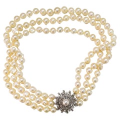 Pearl Choker Necklaces