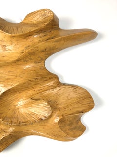 1950 French Abstract Wall Wood Carved Sculpture