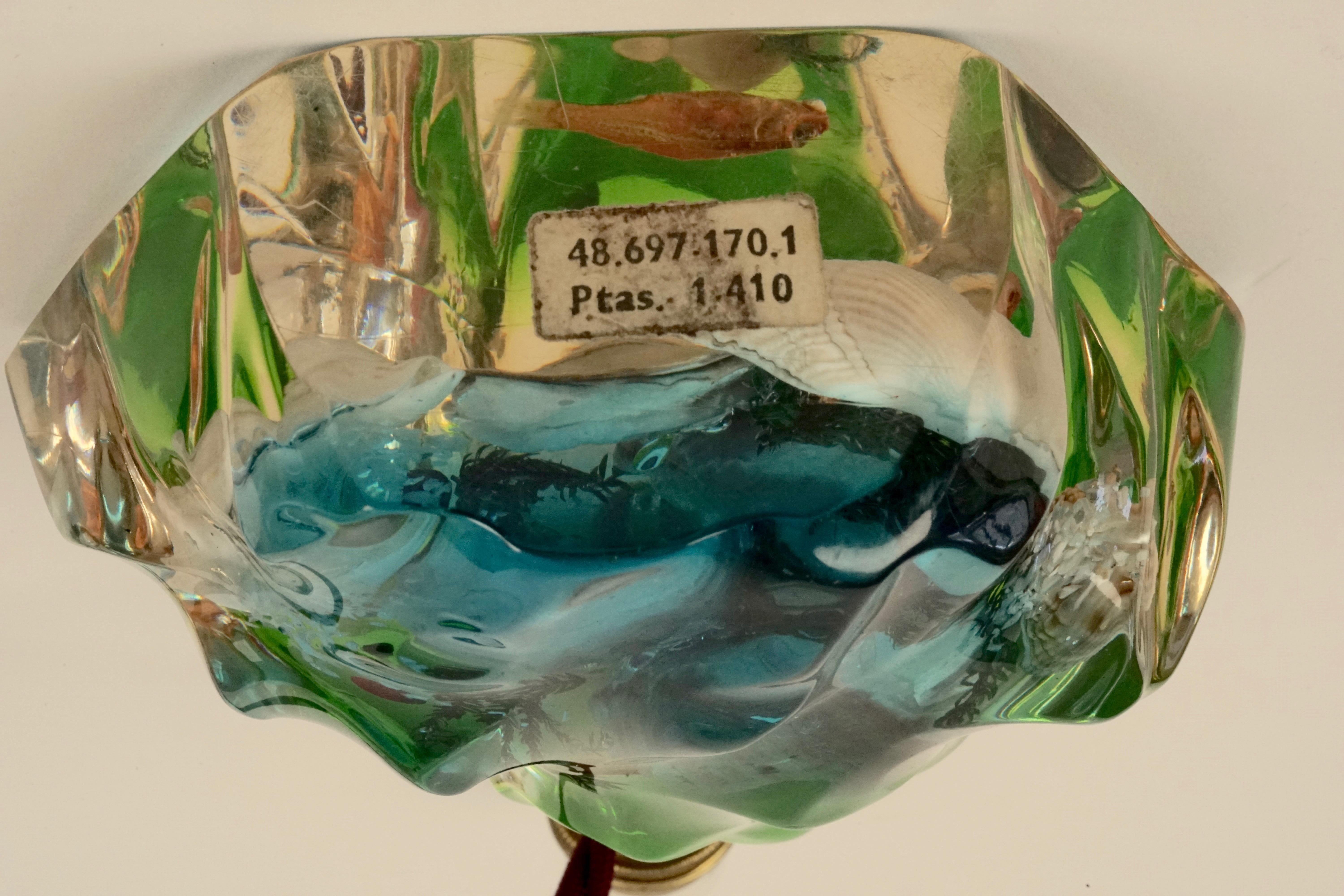 1950 Italian Cast Acrylic Lamp with Shells, Starfish, Seaweed and Fish For Sale 3