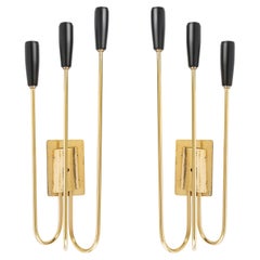 1950 Large and Elegant Pair of Sconces Stilnovo