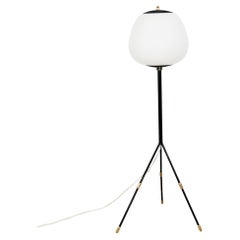 1950's Tripod Standing Lamp, Steel, Brass and Opaline Glass, Italy