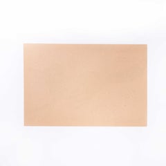 1950's American Fox Shooting Target