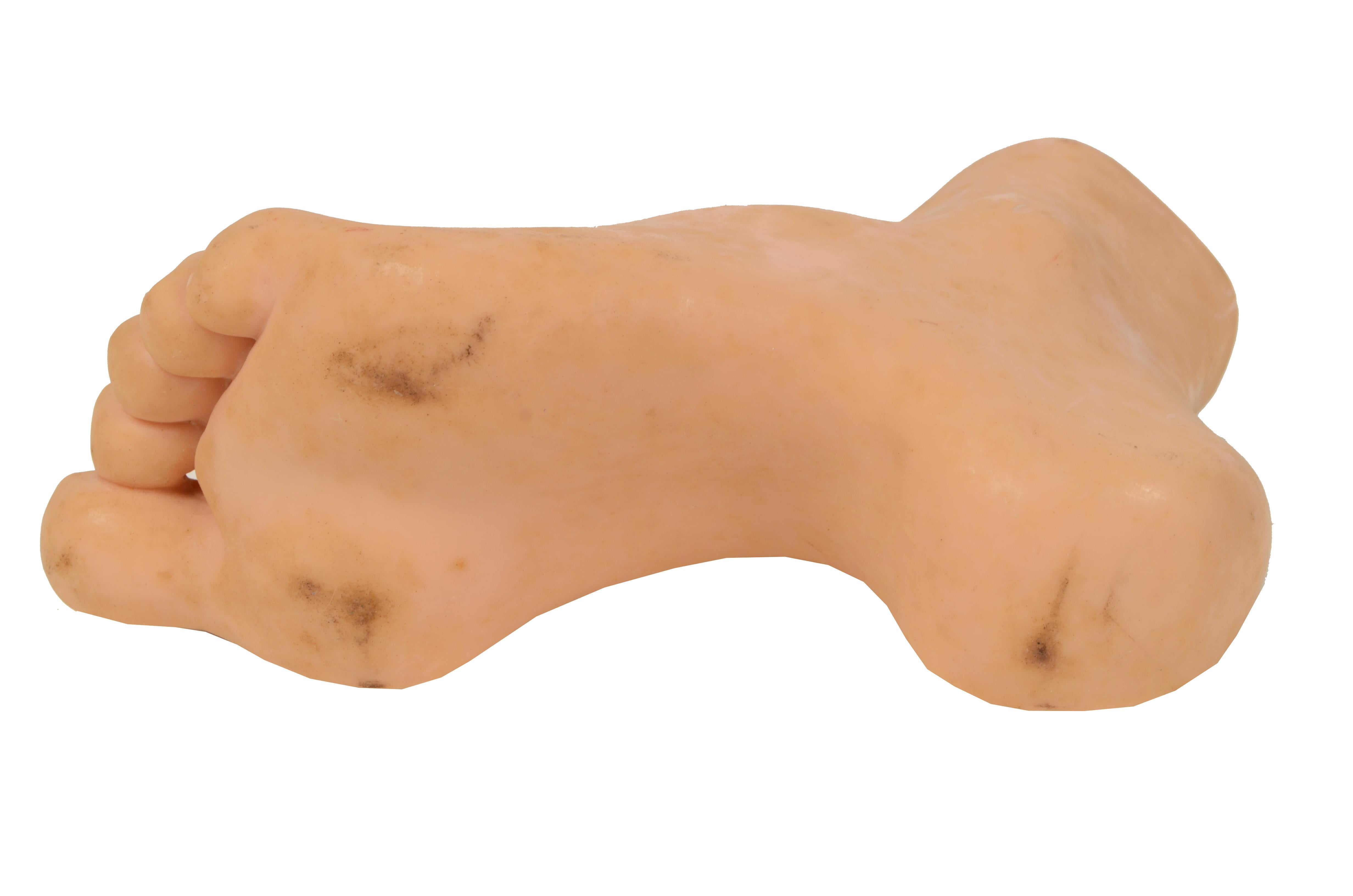1950s Anatomical Teaching Model Of Normal Size Depicting A Hoolow Foot  For Sale 3