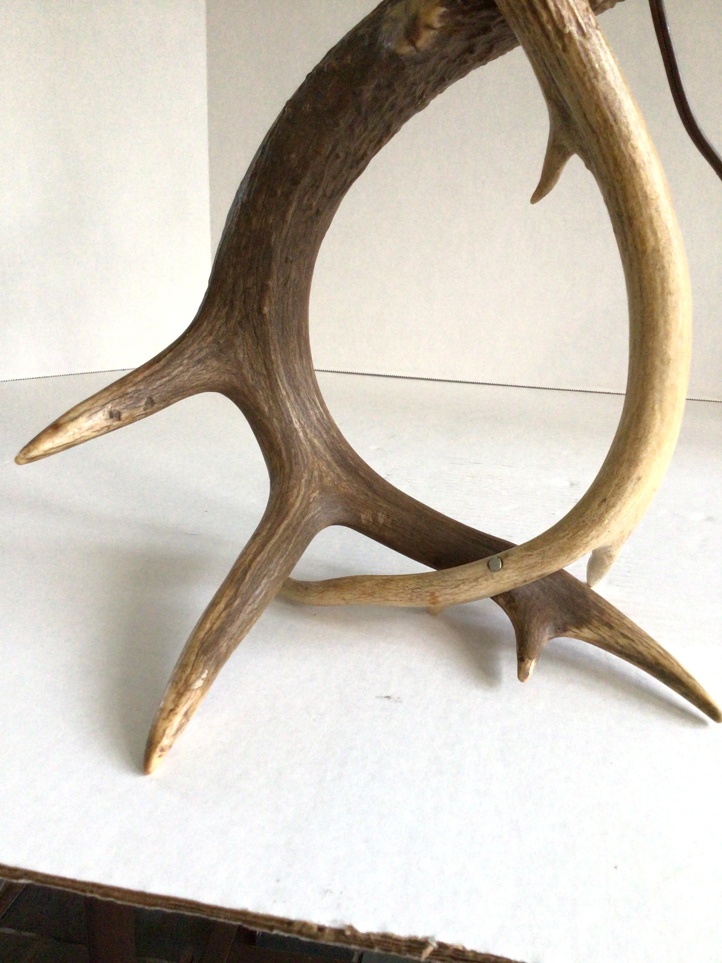 Lampe à poser en bois de cerf des années 1950 en vente 1