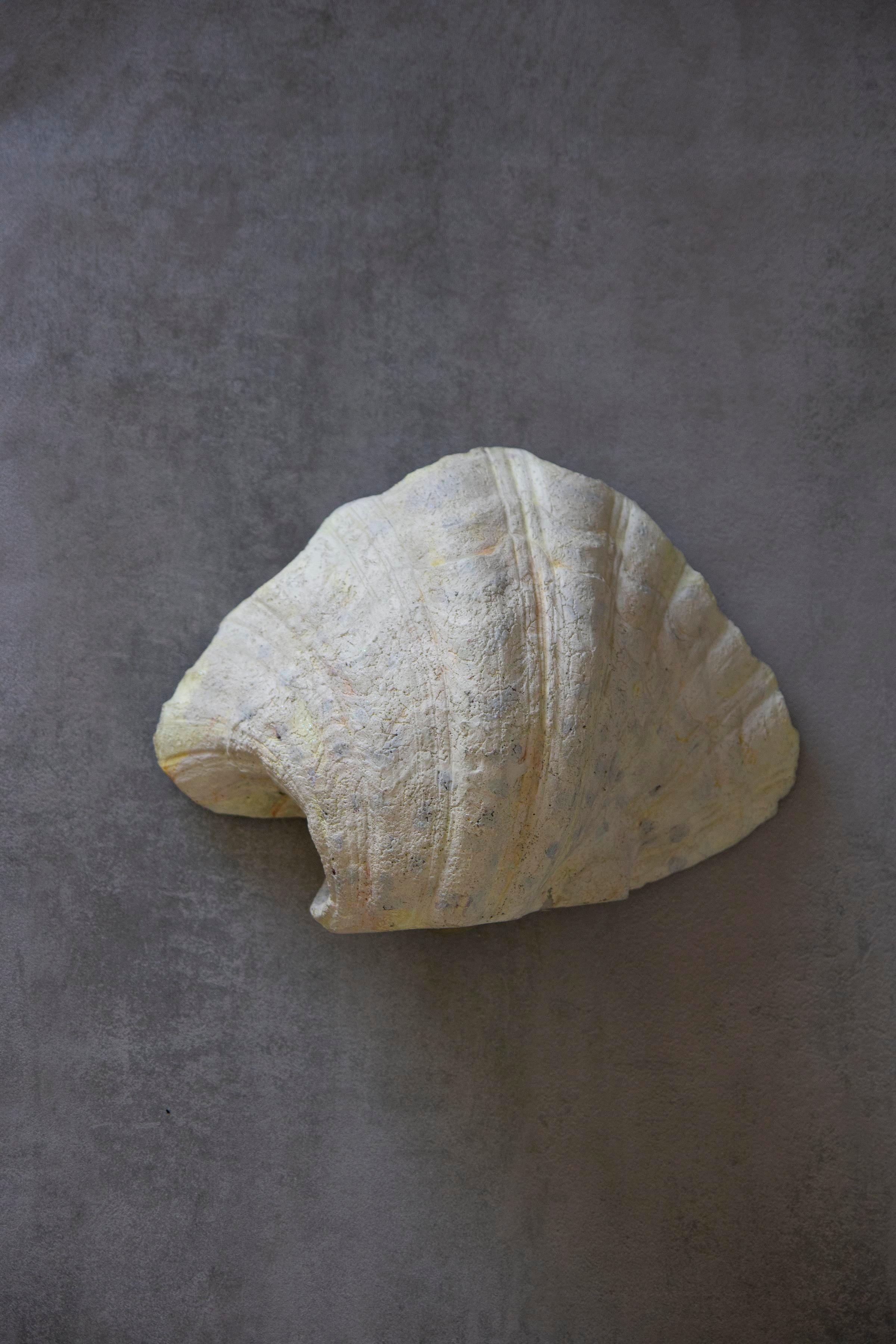 Beautiful Seashell plaster Wall Sconce for any wall, including a vanity or bathroom area.