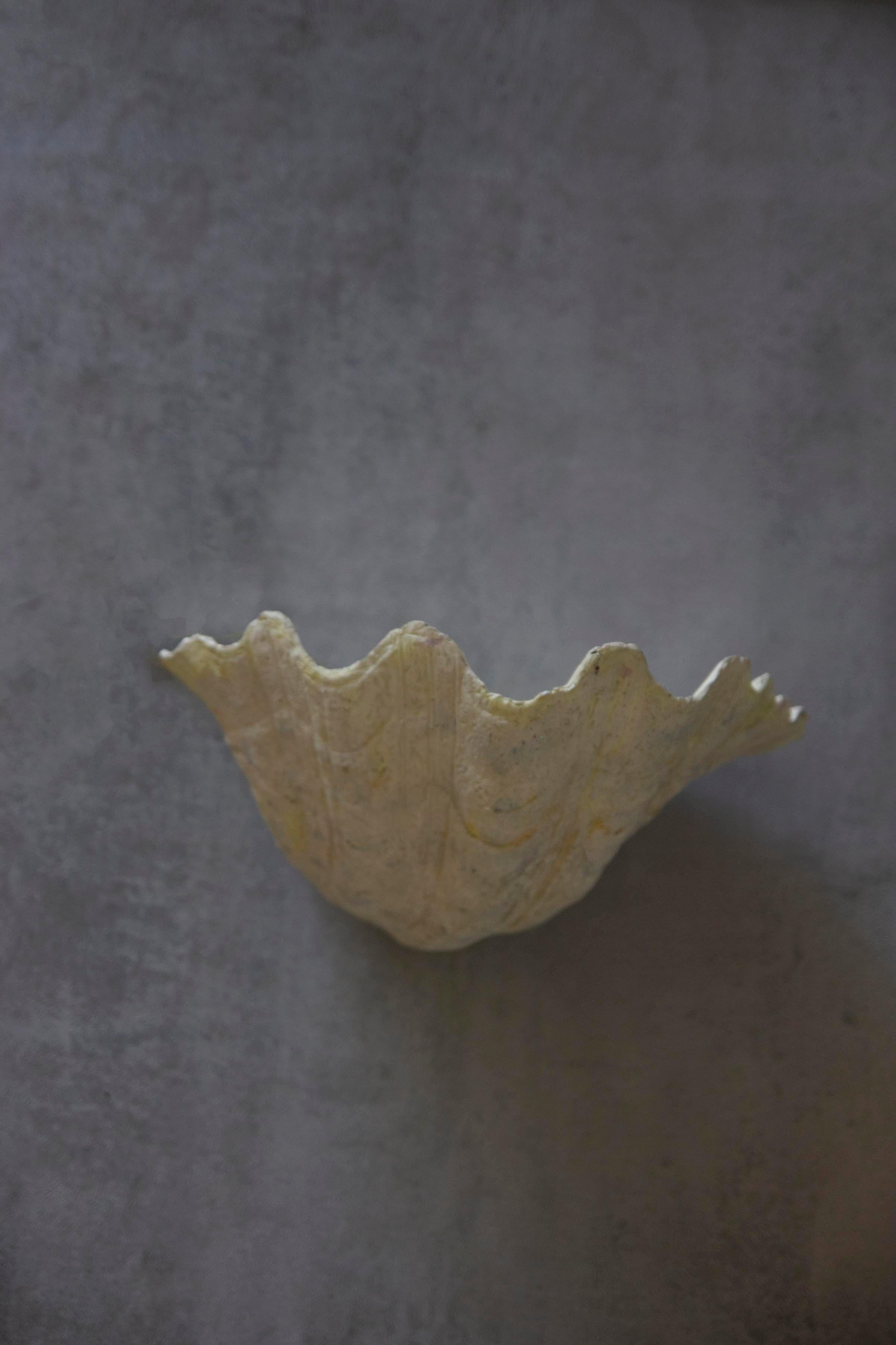 French 1950s Attributed Serge Roche Plaster Wall Sconce, Rewired