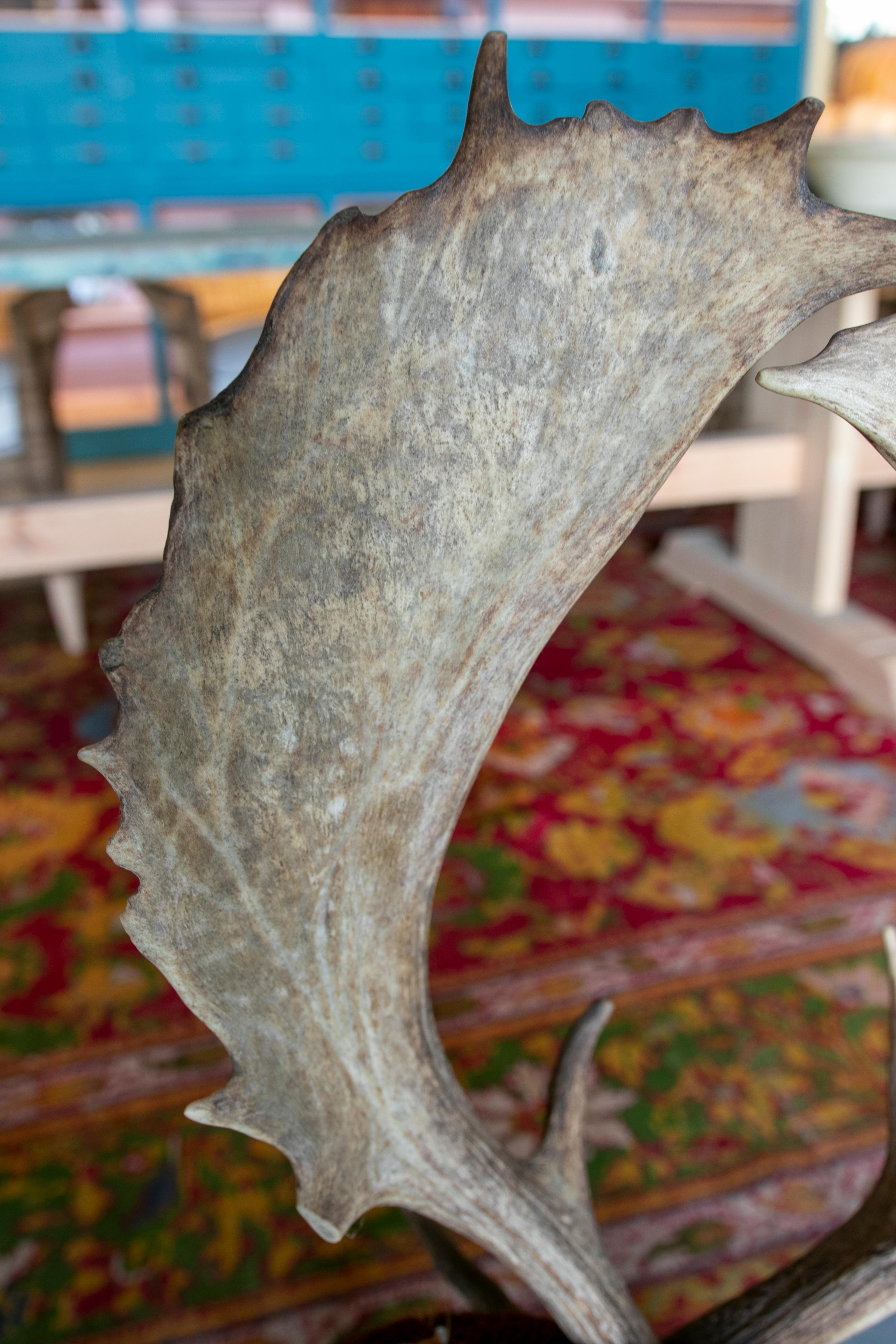 1950s Austrian Chair w/ Deer Leather Seats, Hoof Legs & Antlers Backrest 5