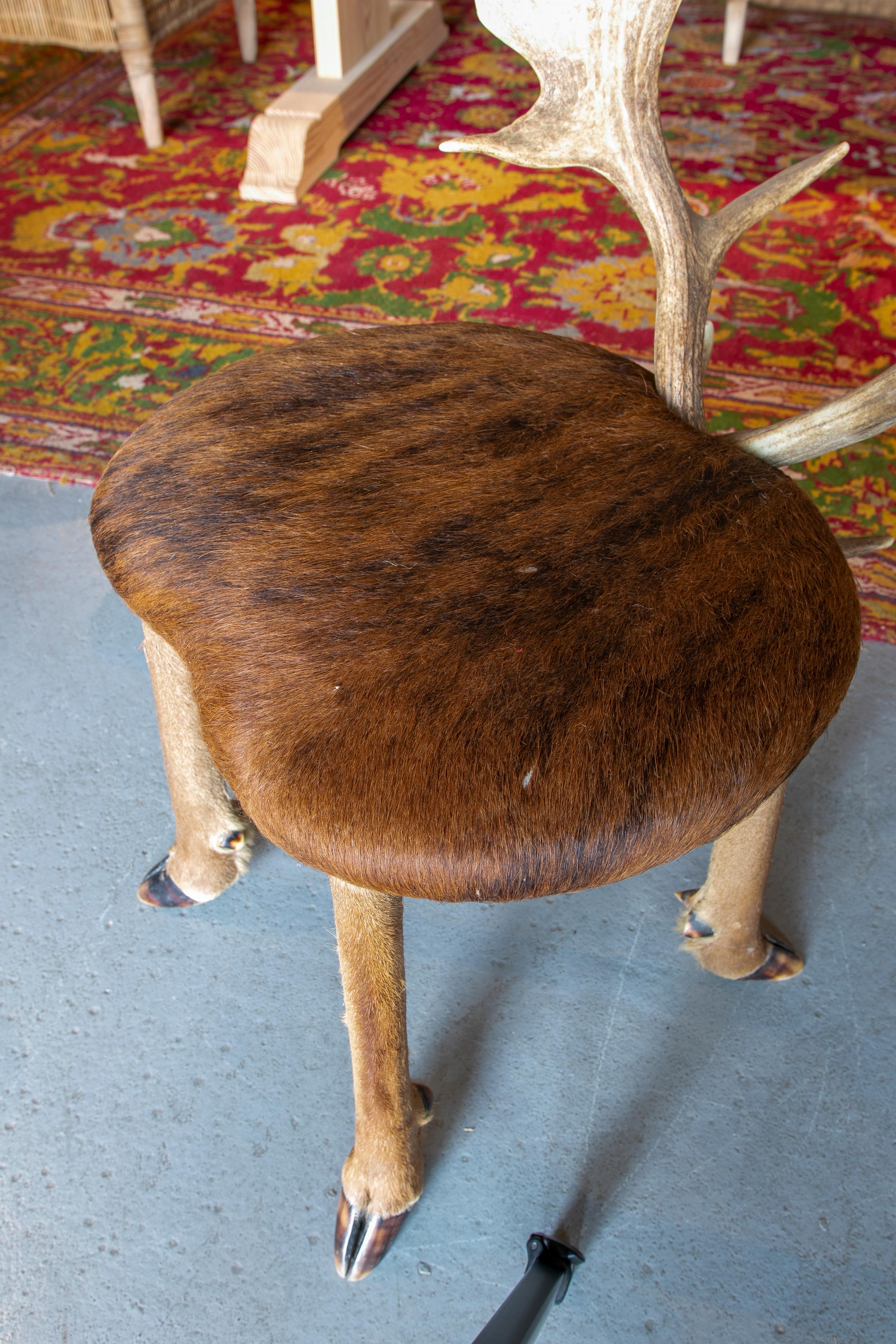 1950s Austrian Chair w/ Deer Leather Seats, Hoof Legs & Antlers Backrest 6