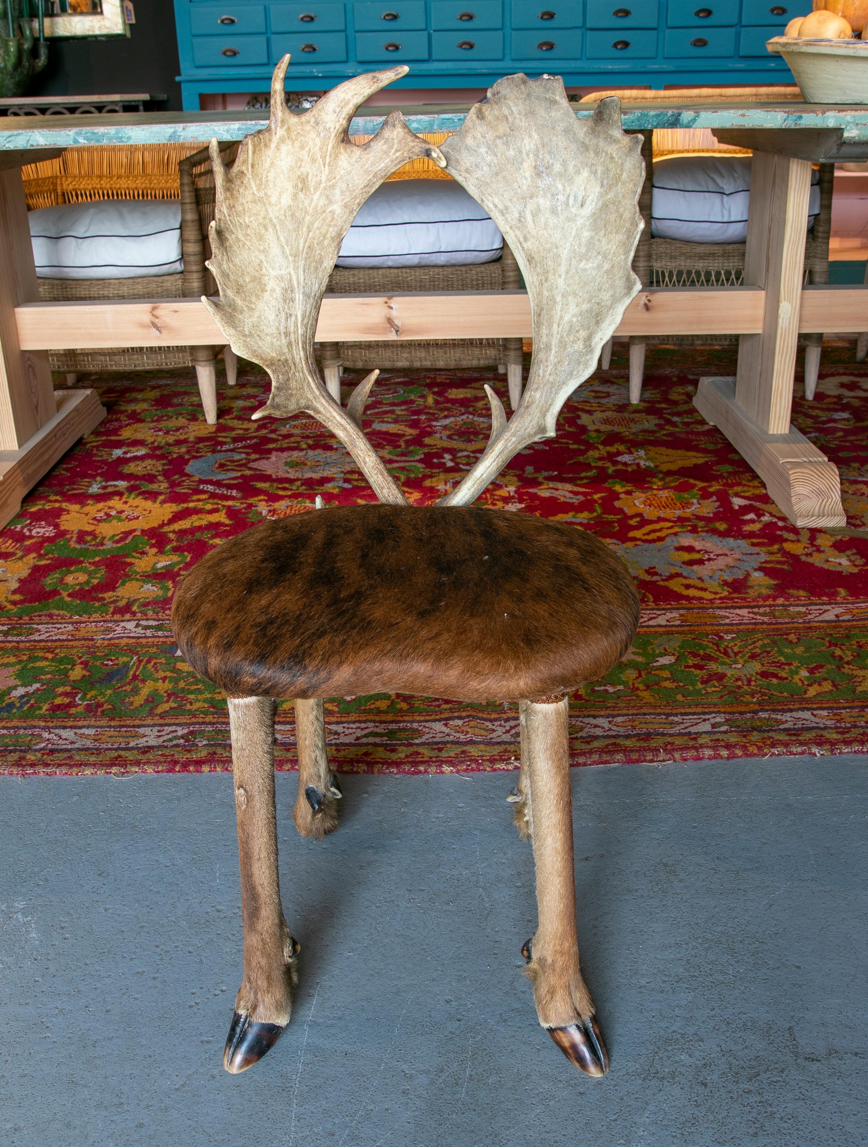 1950s Austrian chair with deer leather seat, hoof legs & antlers backrest.